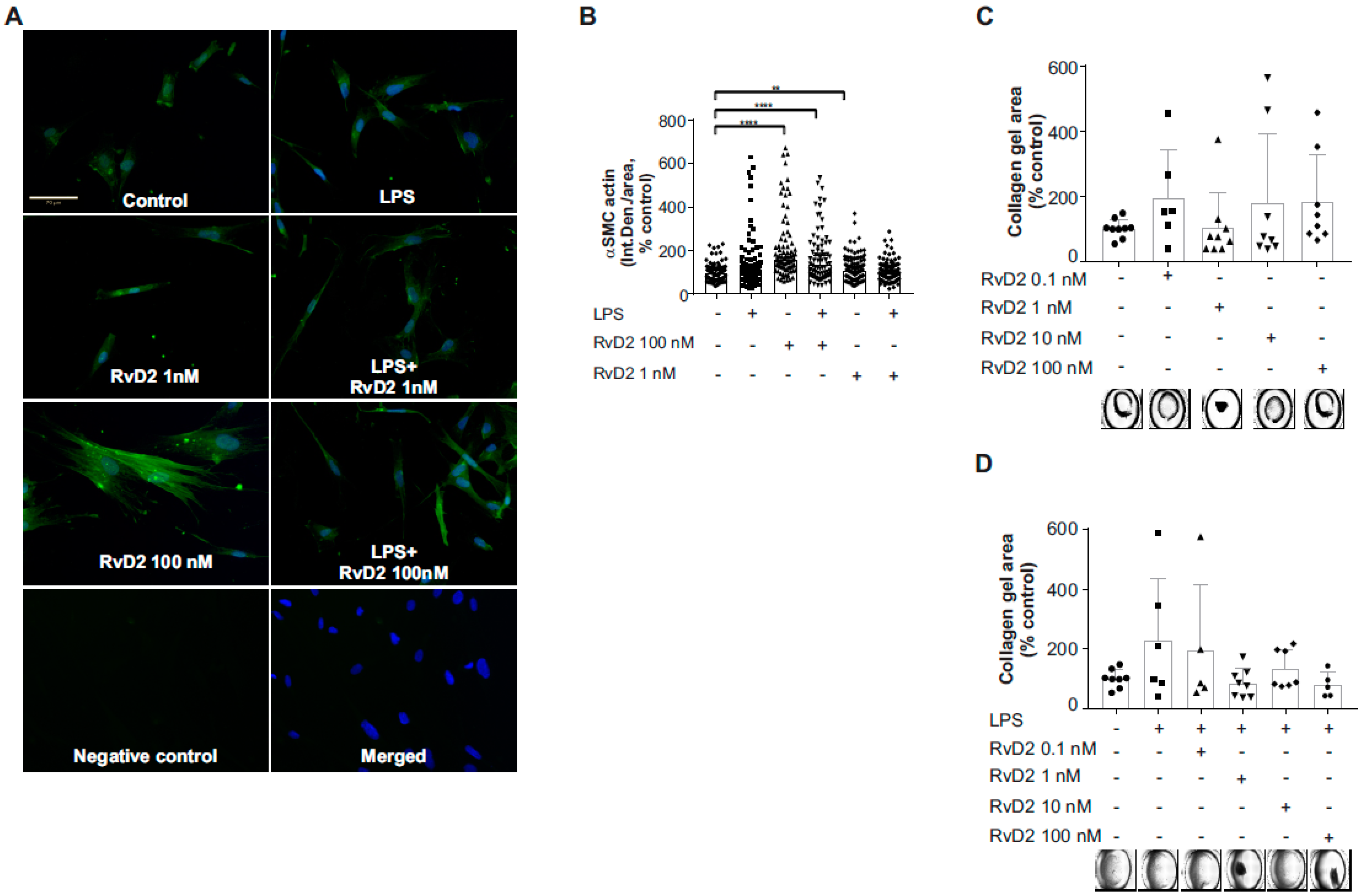 Ijms 20 04402 g009 Ijms 20 04402 g009