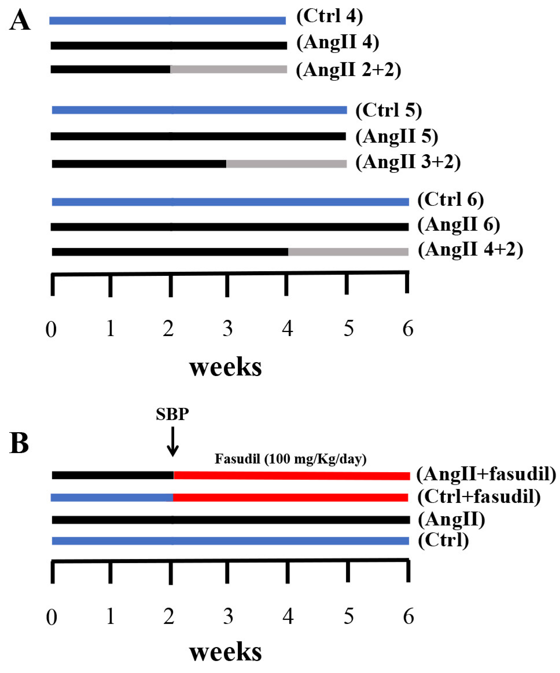 Ijms 20 04408 g001 Ijms 20 04408 g001