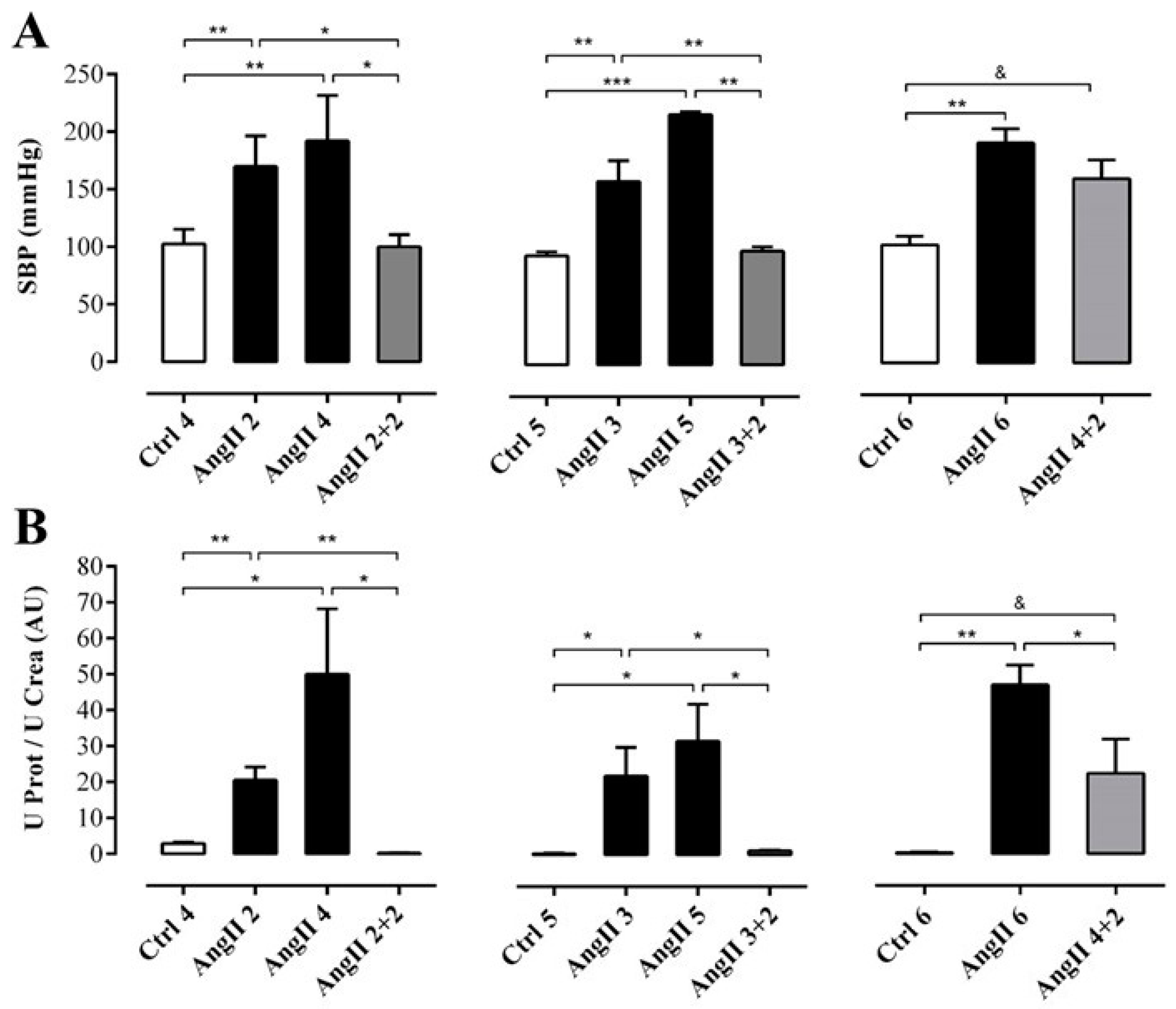 Ijms 20 04408 g002 Ijms 20 04408 g002