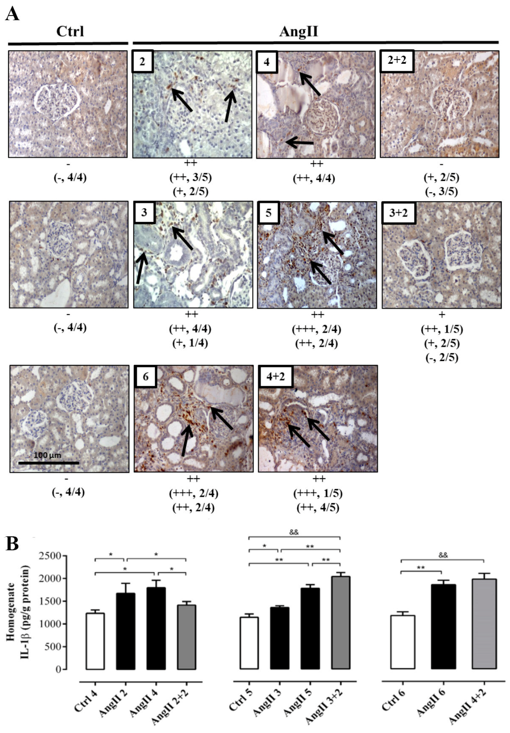 Ijms 20 04408 g004 Ijms 20 04408 g004
