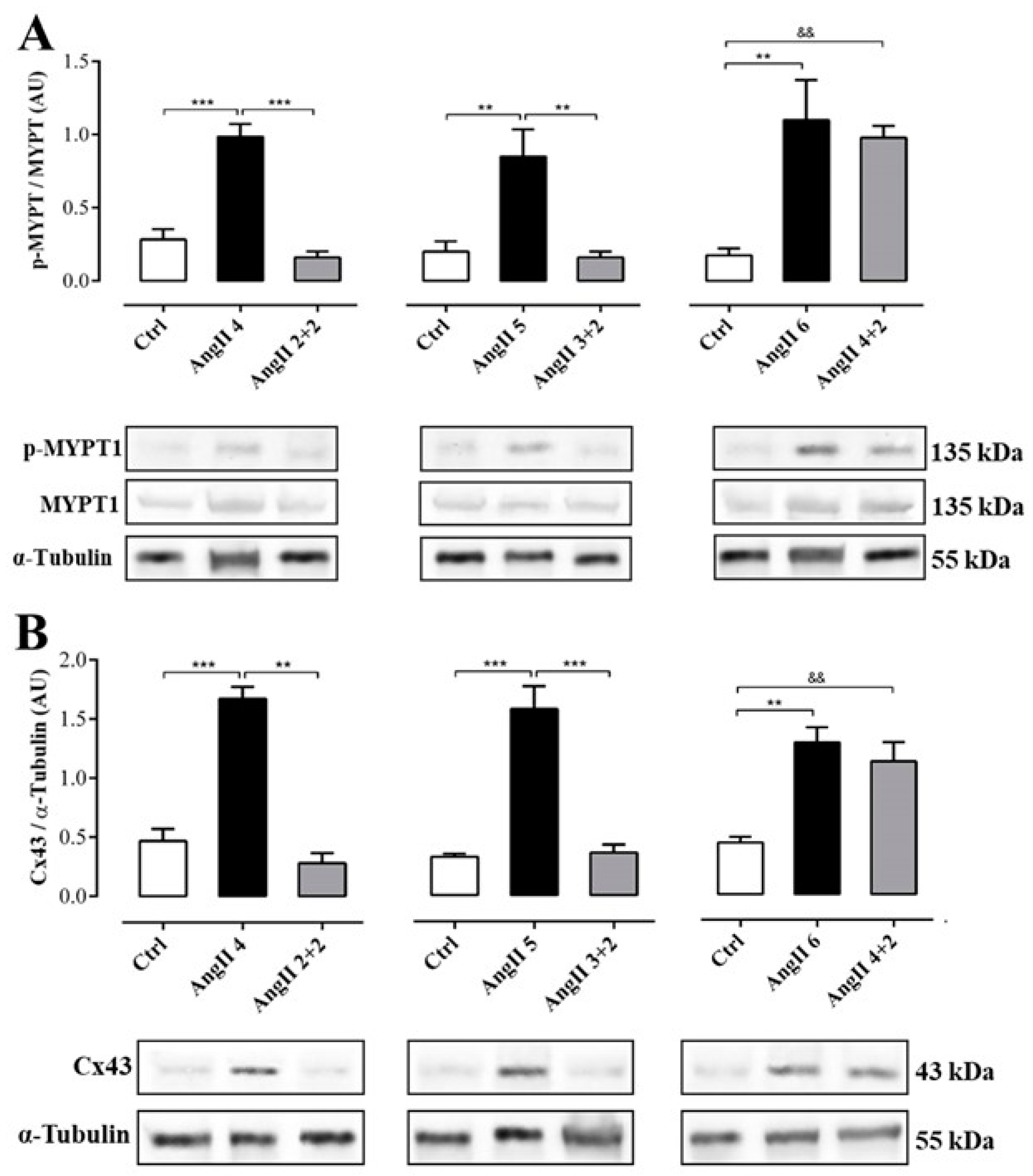 Ijms 20 04408 g006 Ijms 20 04408 g006