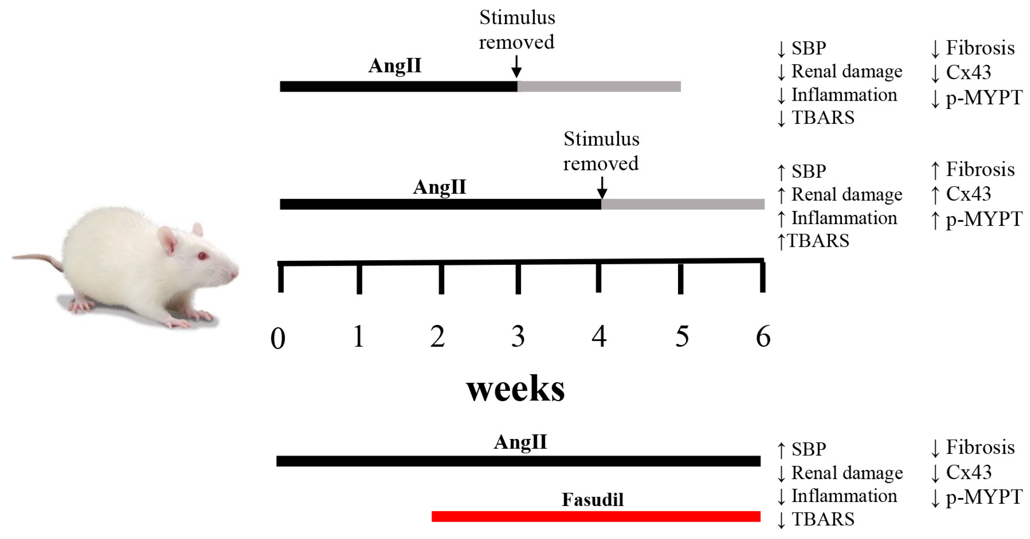 Ijms 20 04408 g008 Ijms 20 04408 g008