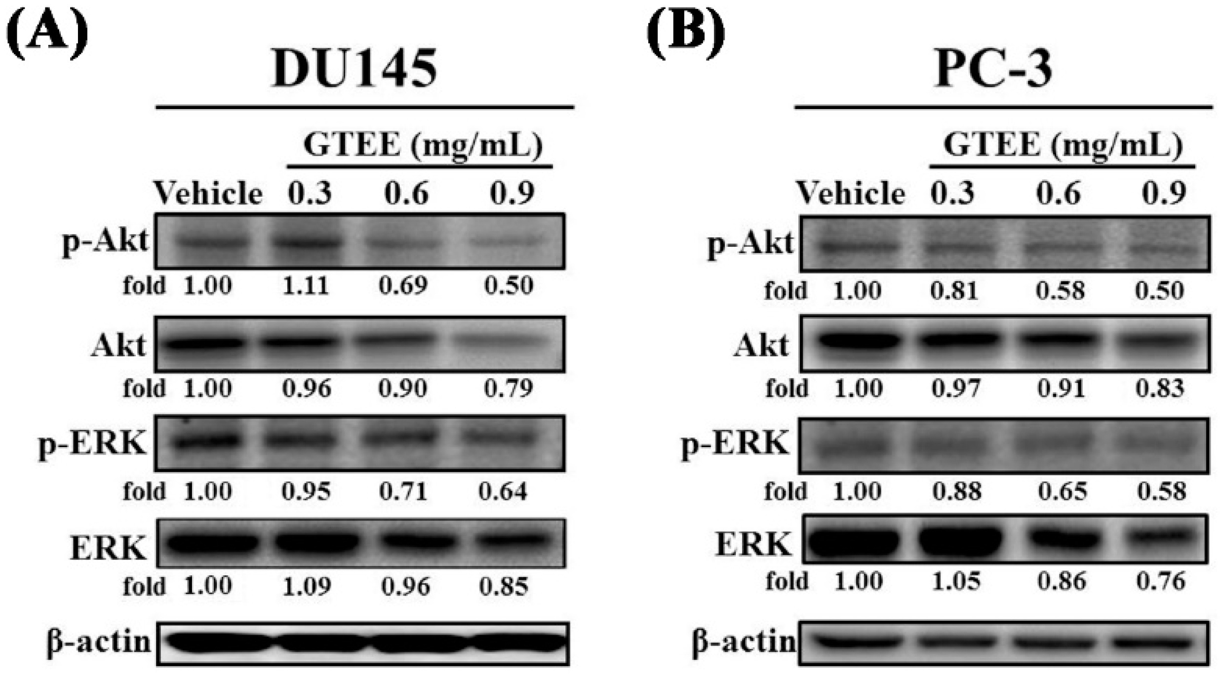 Ijms 20 04418 g003 Ijms 20 04418 g003