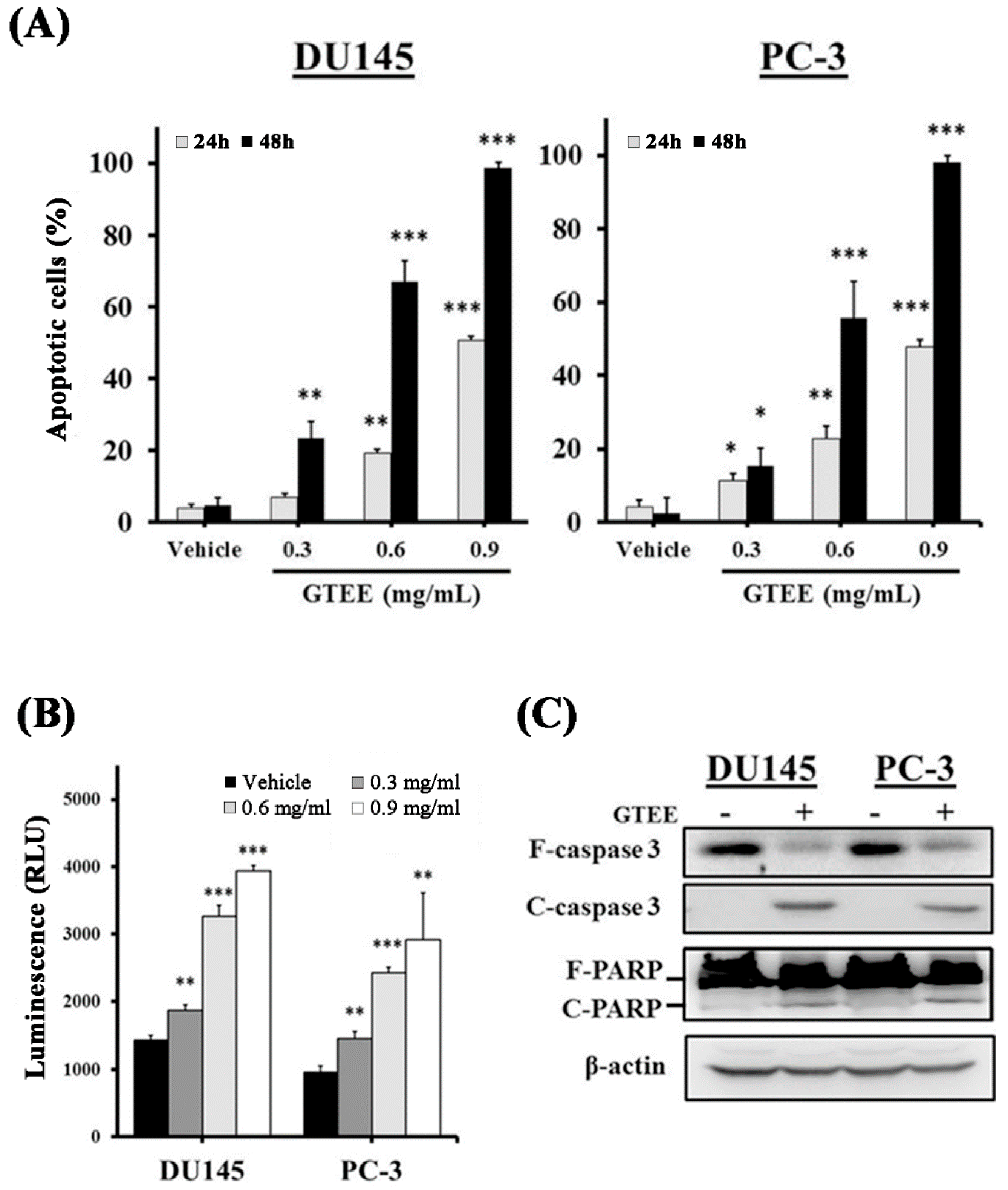 Ijms 20 04418 g004 Ijms 20 04418 g004