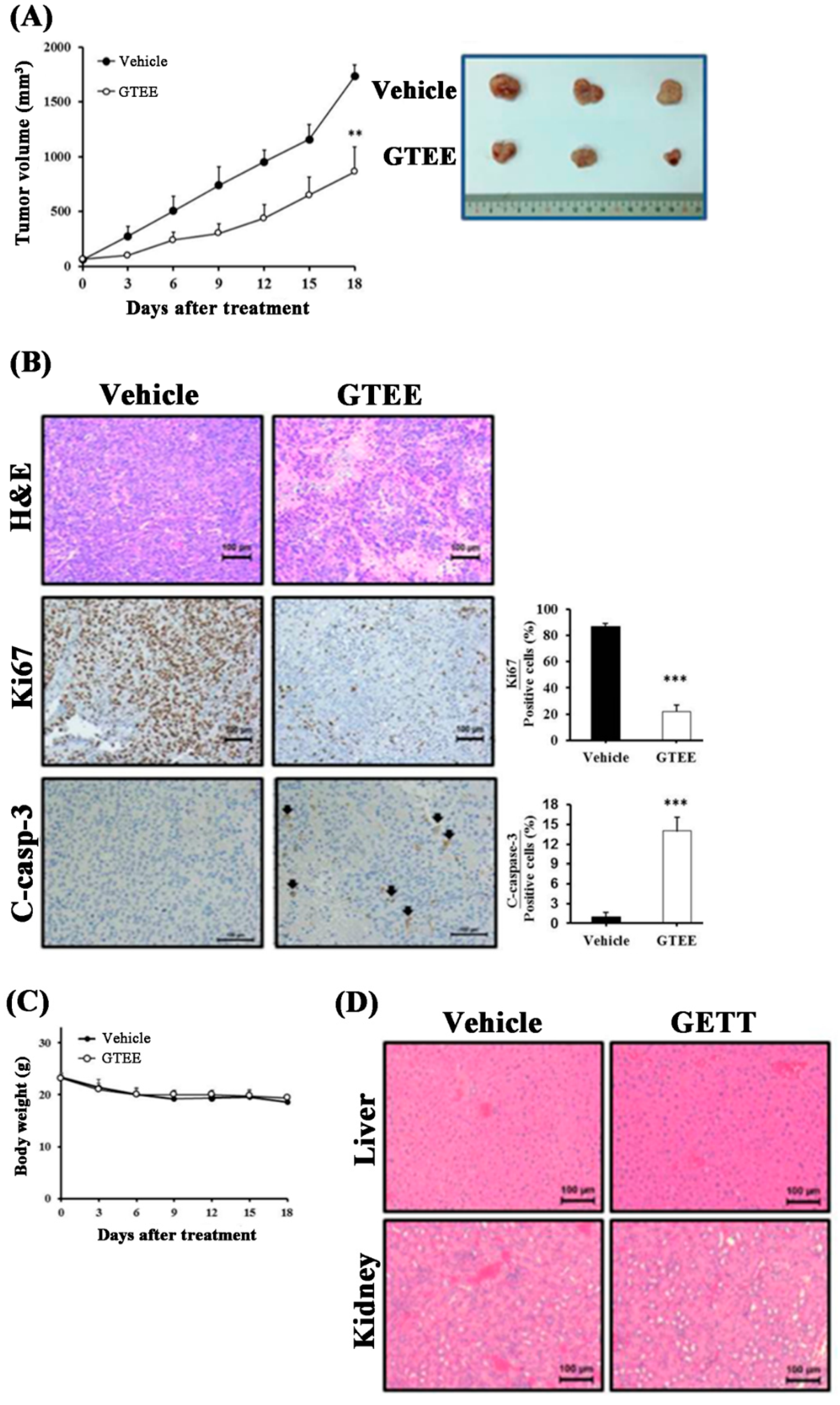 Ijms 20 04418 g005 Ijms 20 04418 g005