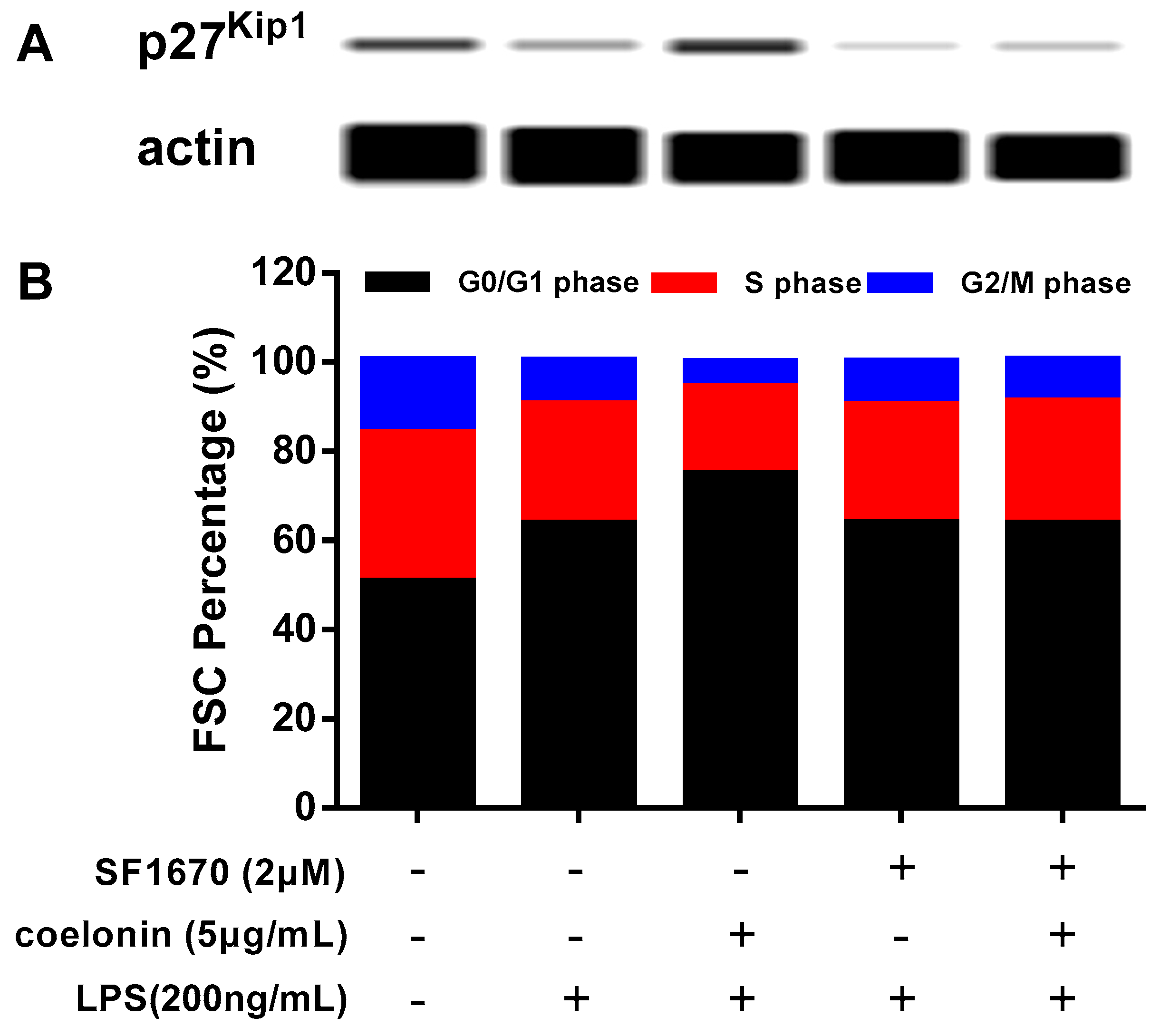 Ijms 20 04422 g008 Ijms 20 04422 g008