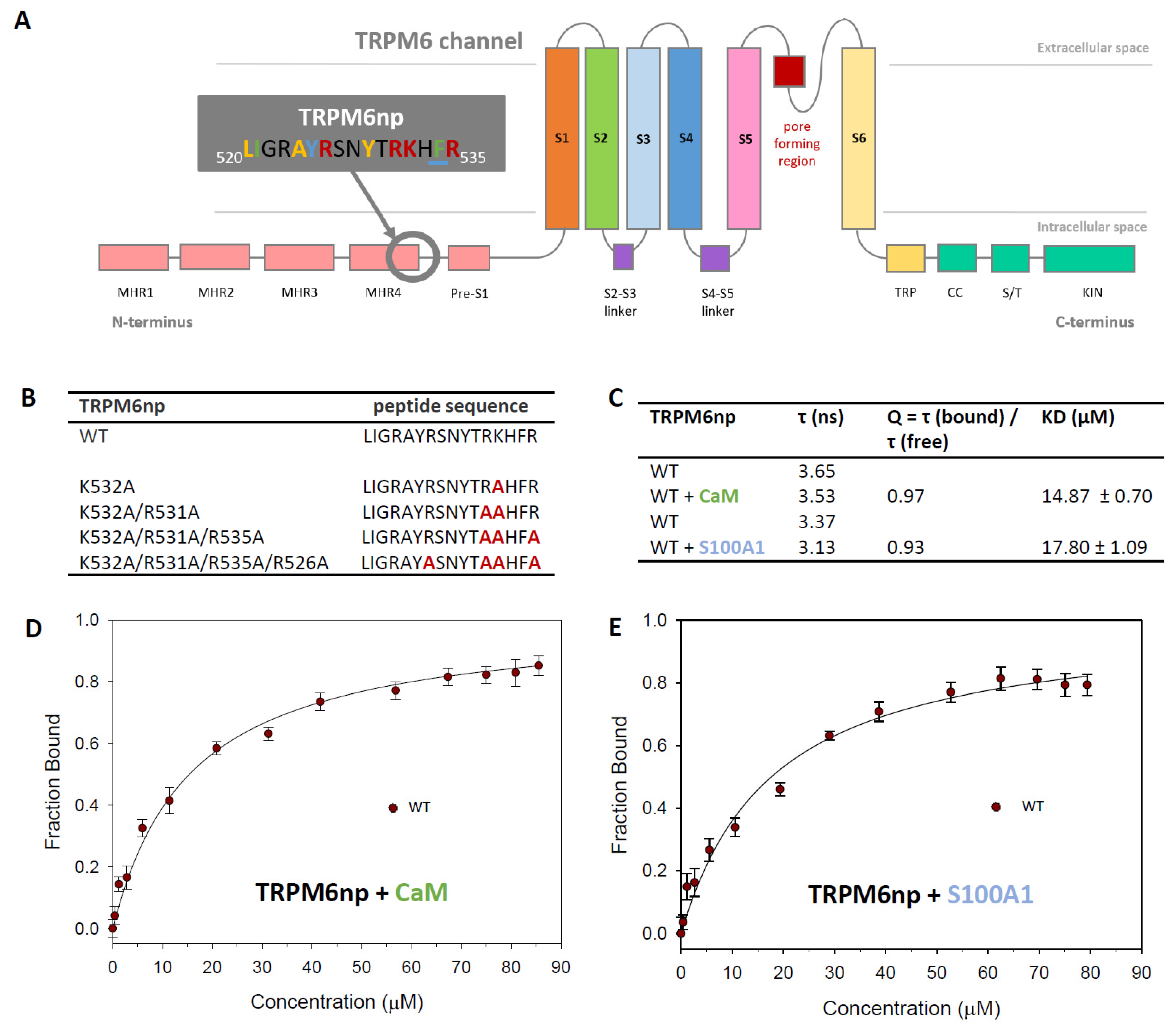Ijms 20 04430 g001 Ijms 20 04430 g001