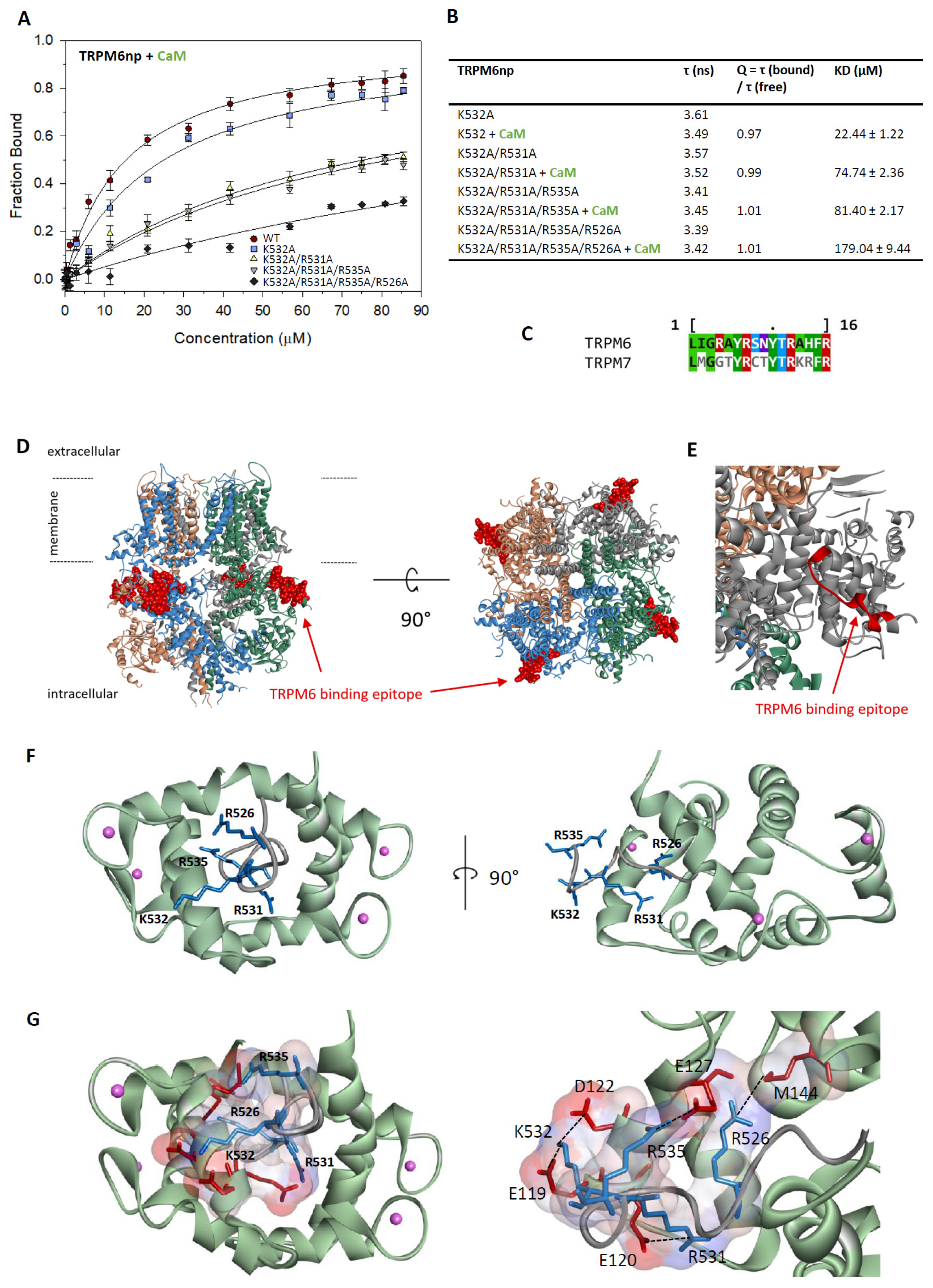 Ijms 20 04430 g002 Ijms 20 04430 g002