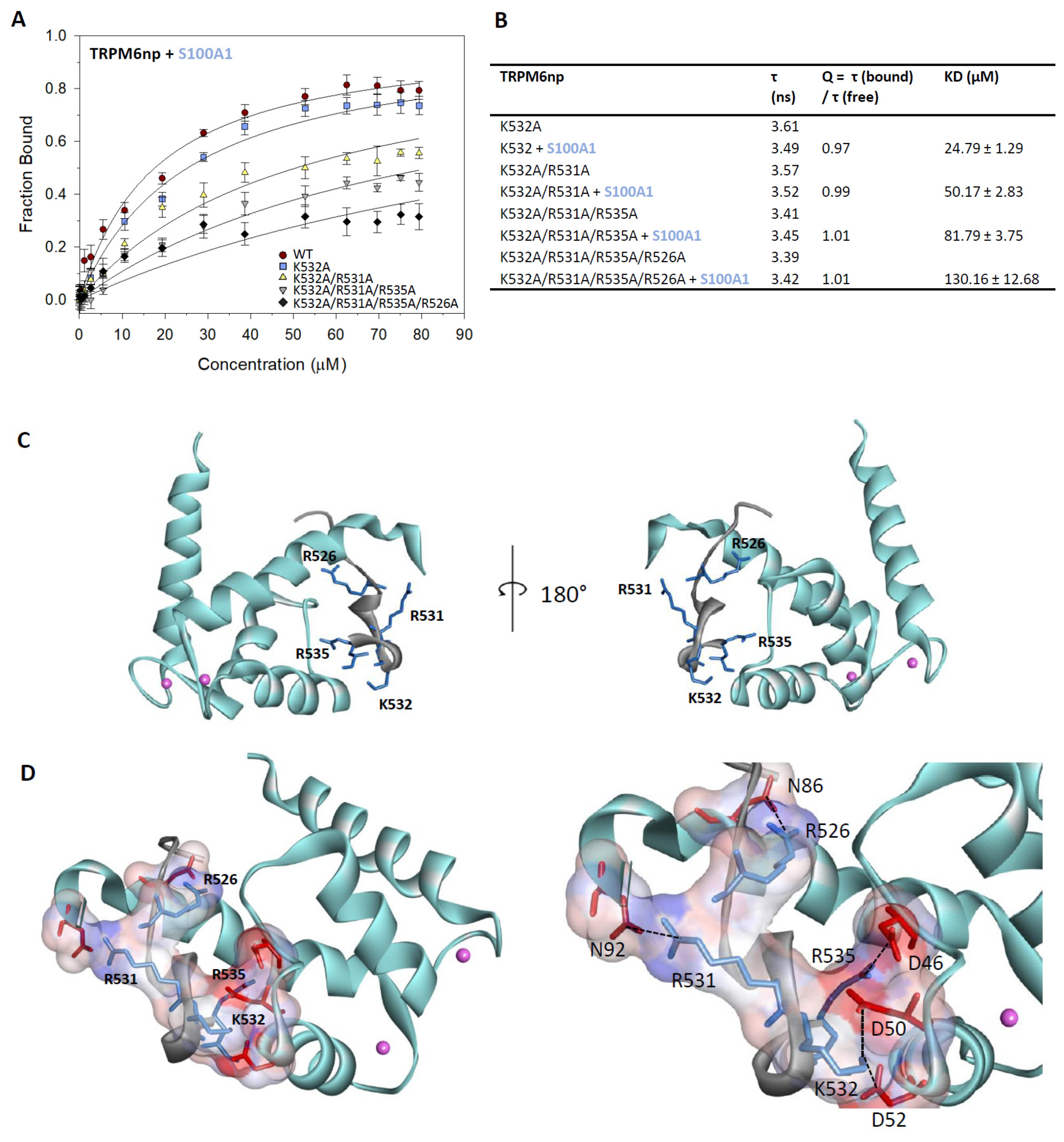 Ijms 20 04430 g003 Ijms 20 04430 g003