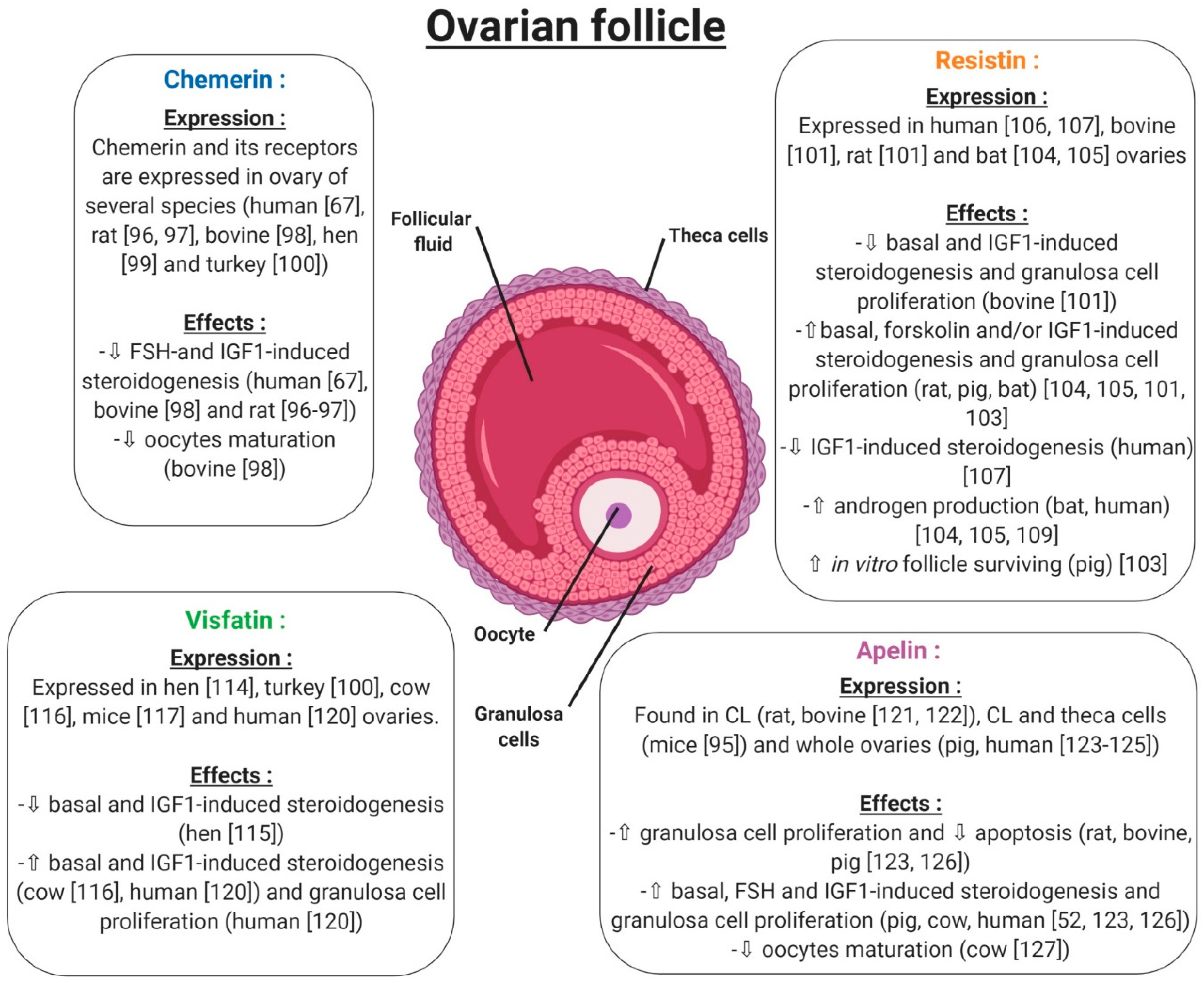 Ijms 20 04431 g008 Ijms 20 04431 g008
