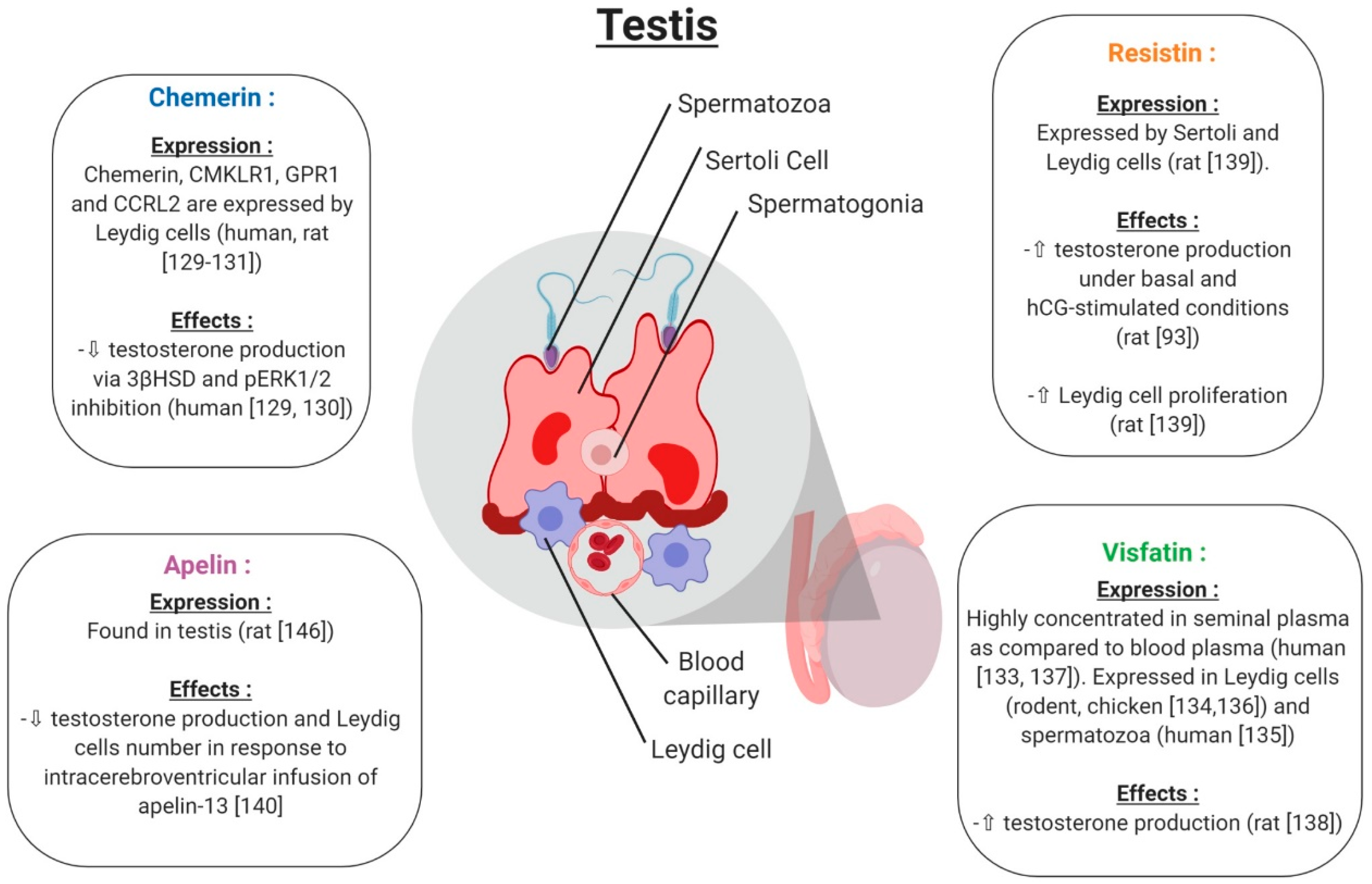 Ijms 20 04431 g010 Ijms 20 04431 g010