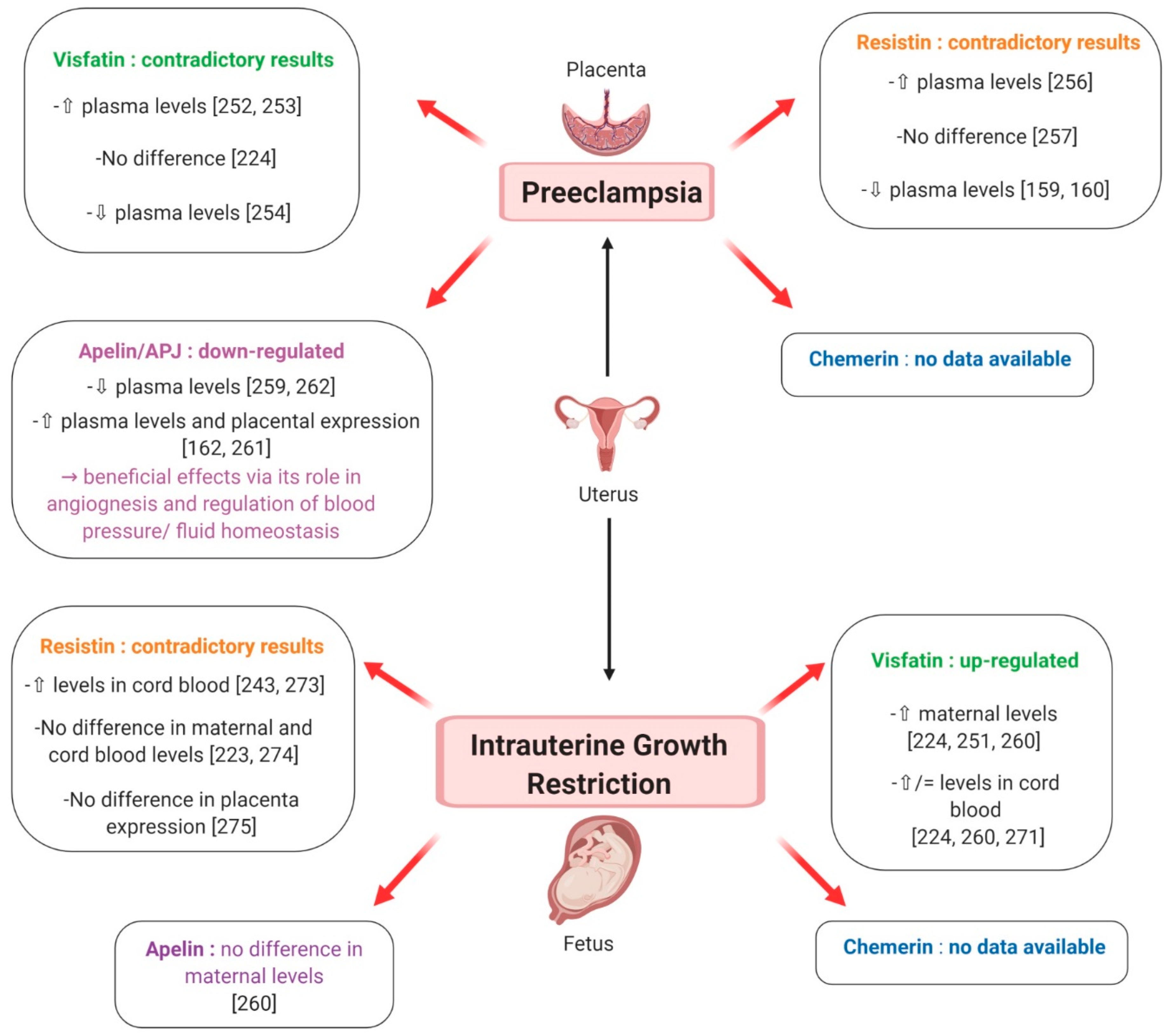 Ijms 20 04431 g014 Ijms 20 04431 g014
