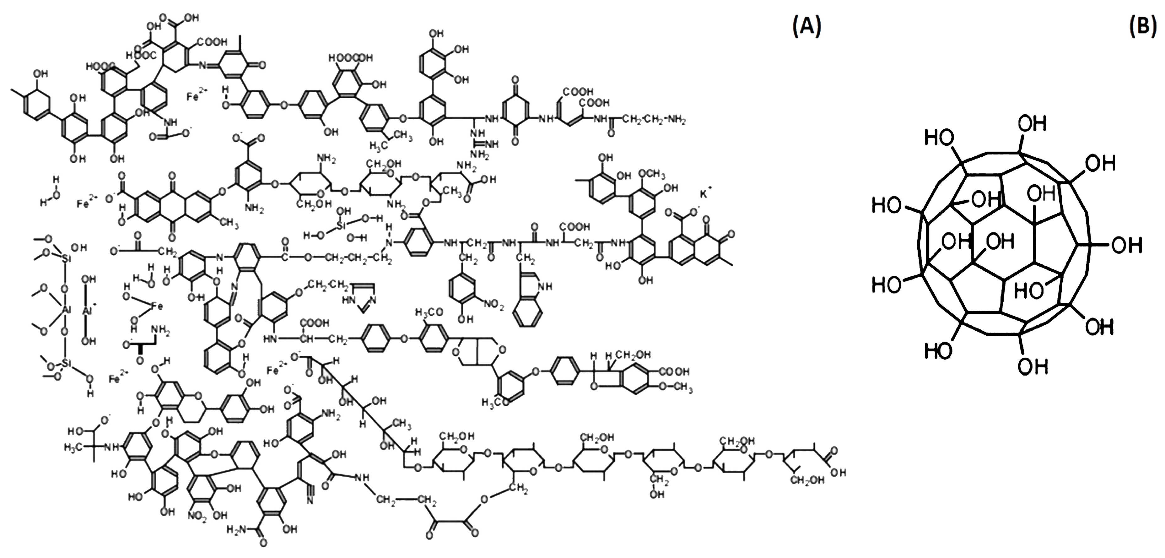 Ijms 20 04451 g010 Ijms 20 04451 g010
