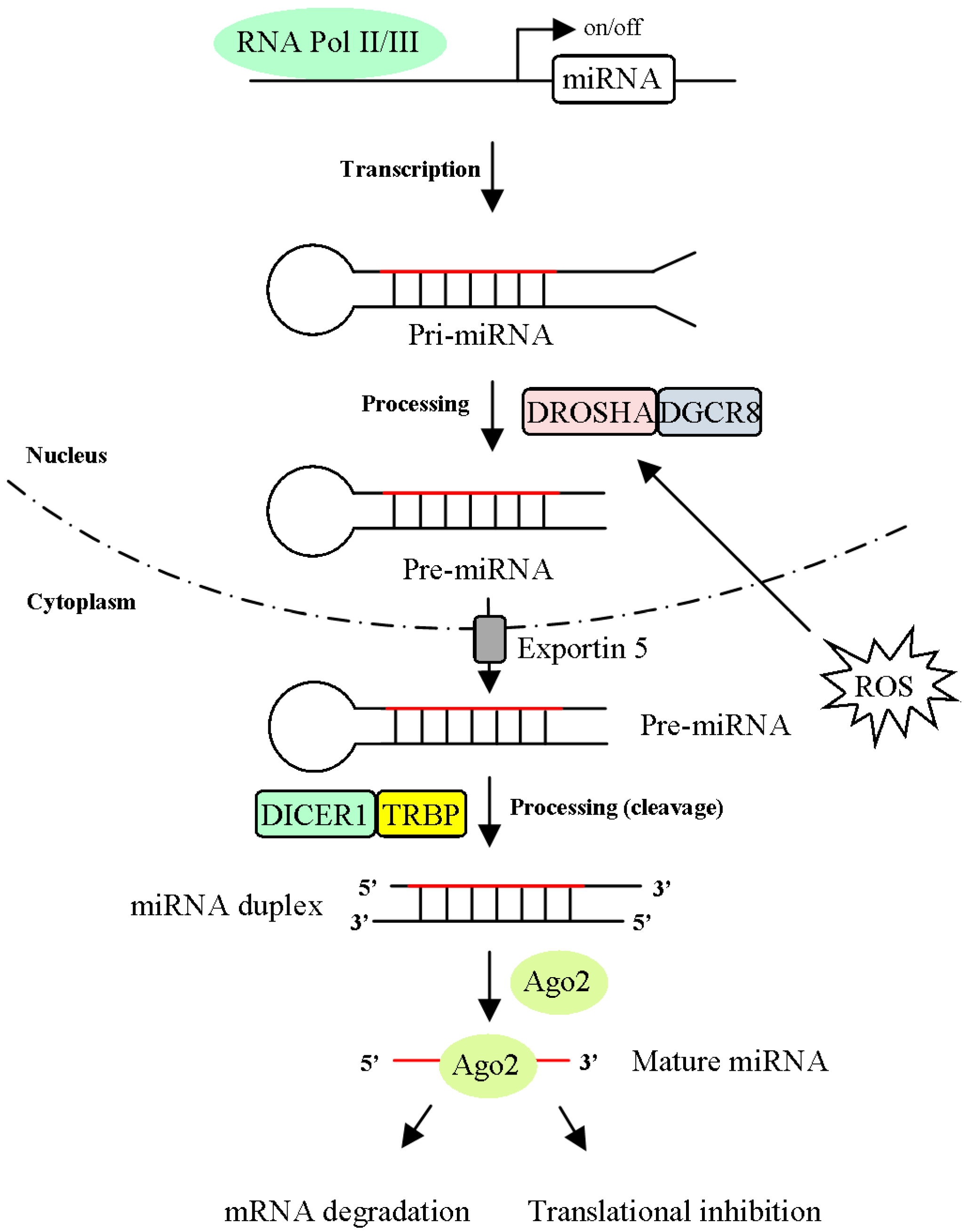 Ijms 20 04497 g002
