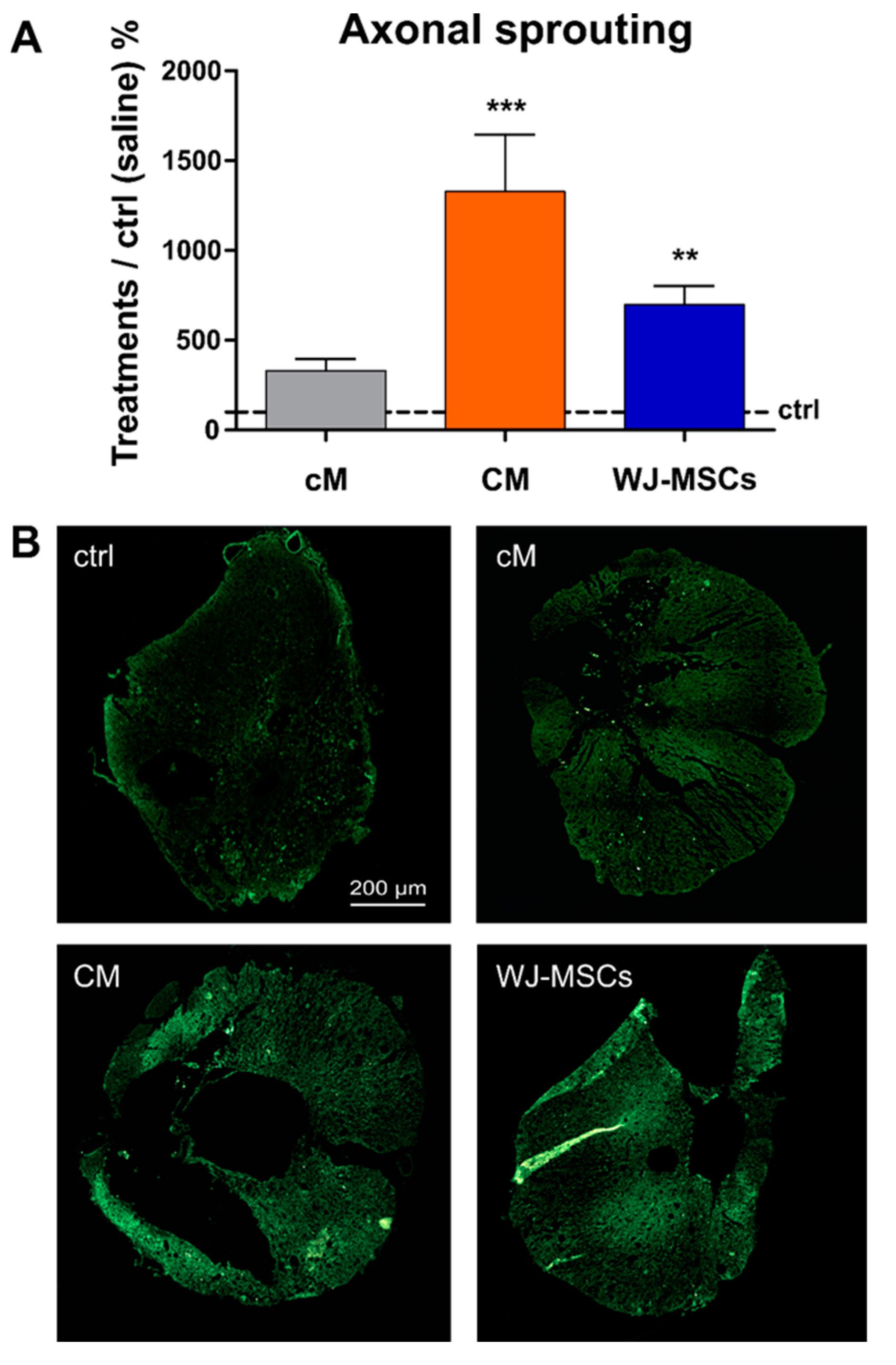 Ijms 20 04516 g007