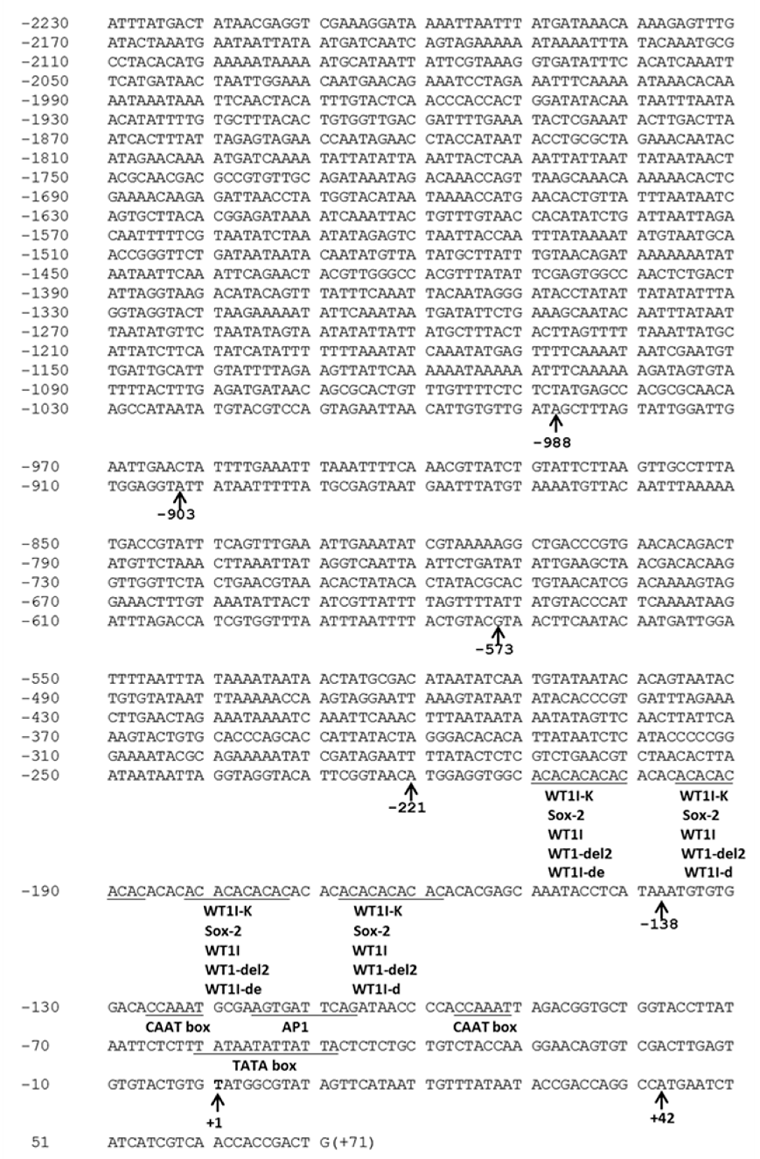 Ijms 20 04521 g002