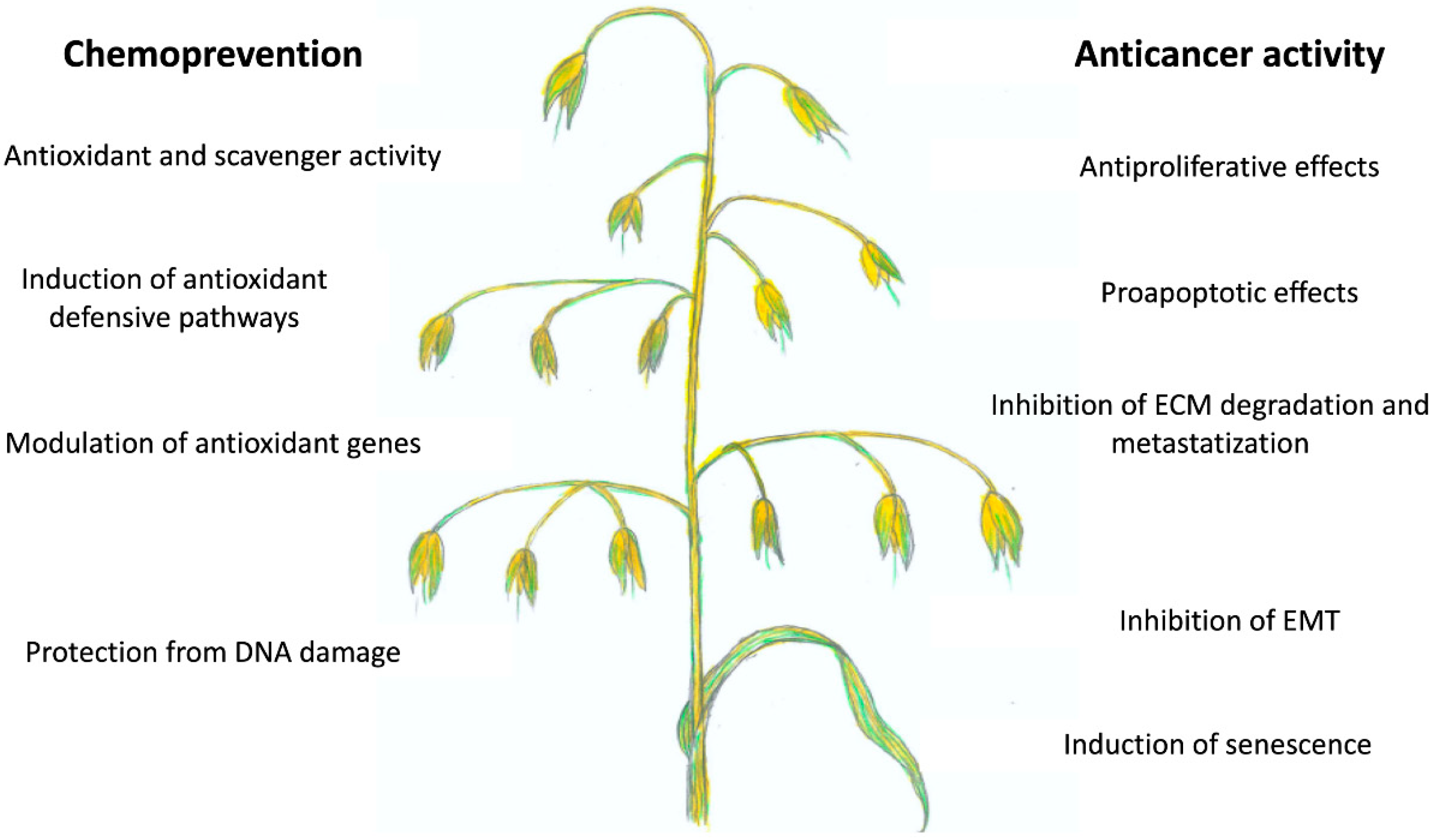 Ijms 20 04536 g006 Ijms 20 04536 g006