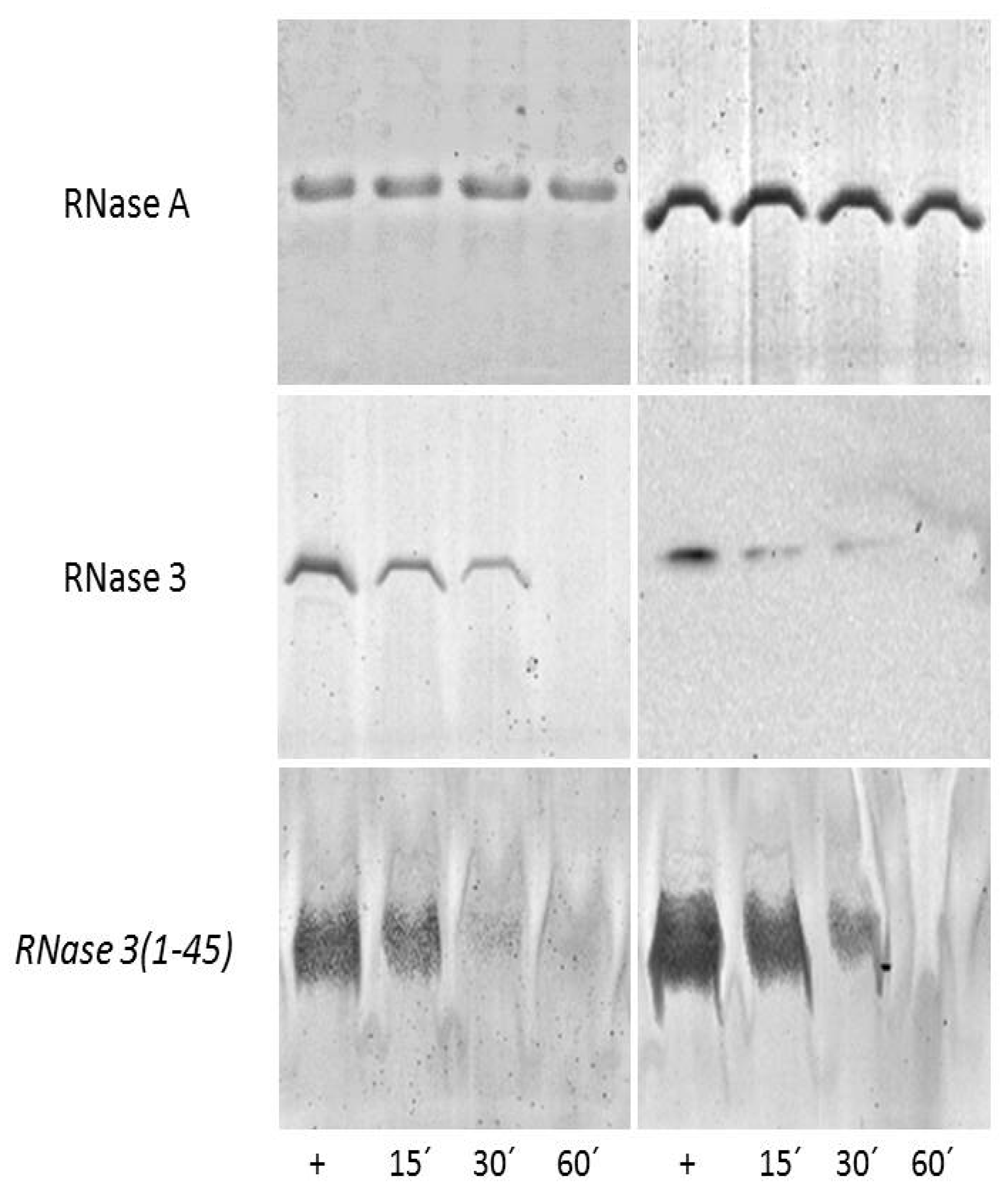 Ijms 20 04558 g002