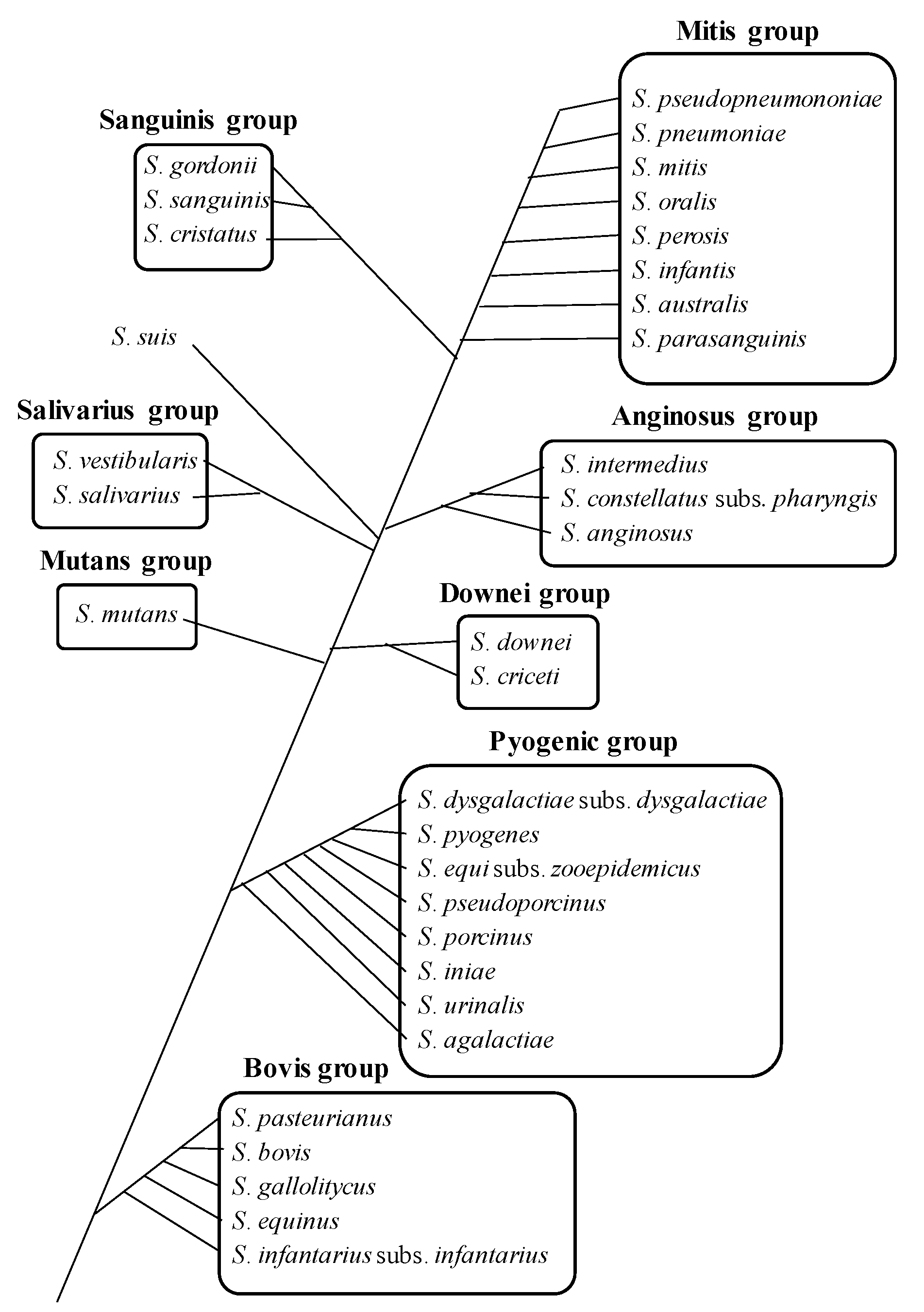 Ijms 20 04571 g002 Ijms 20 04571 g002