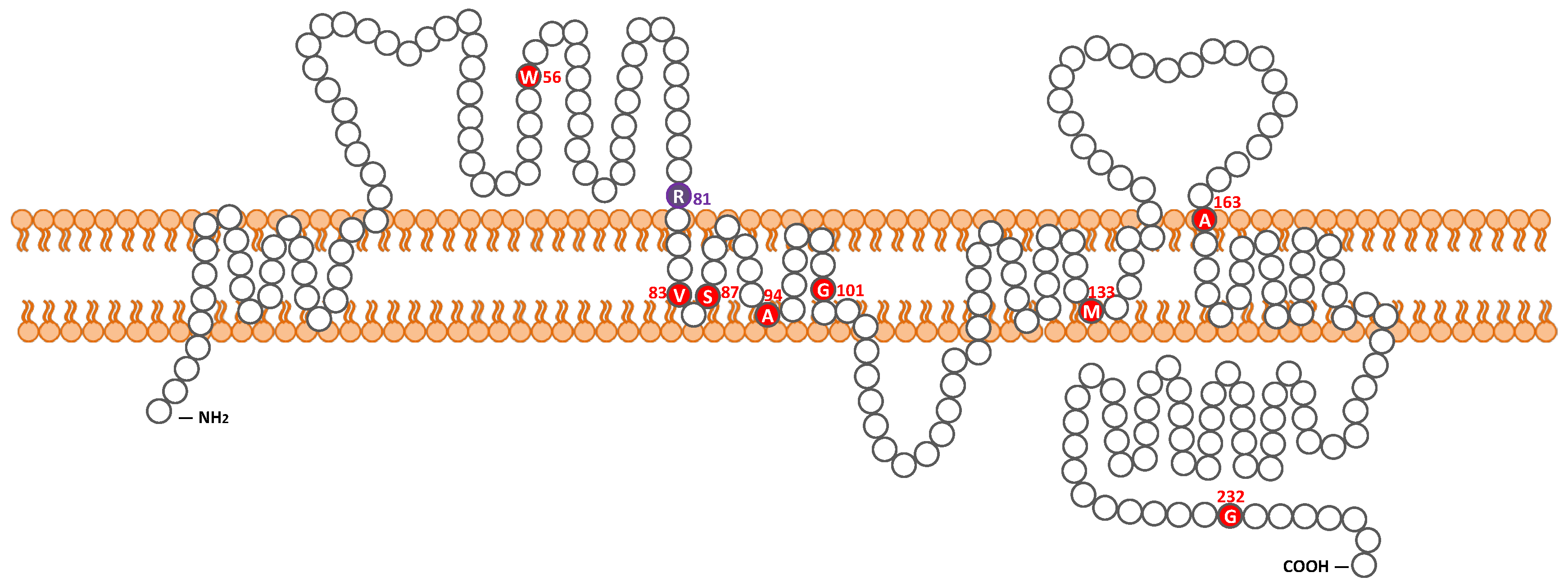 Ijms 20 04579 g002 Ijms 20 04579 g002