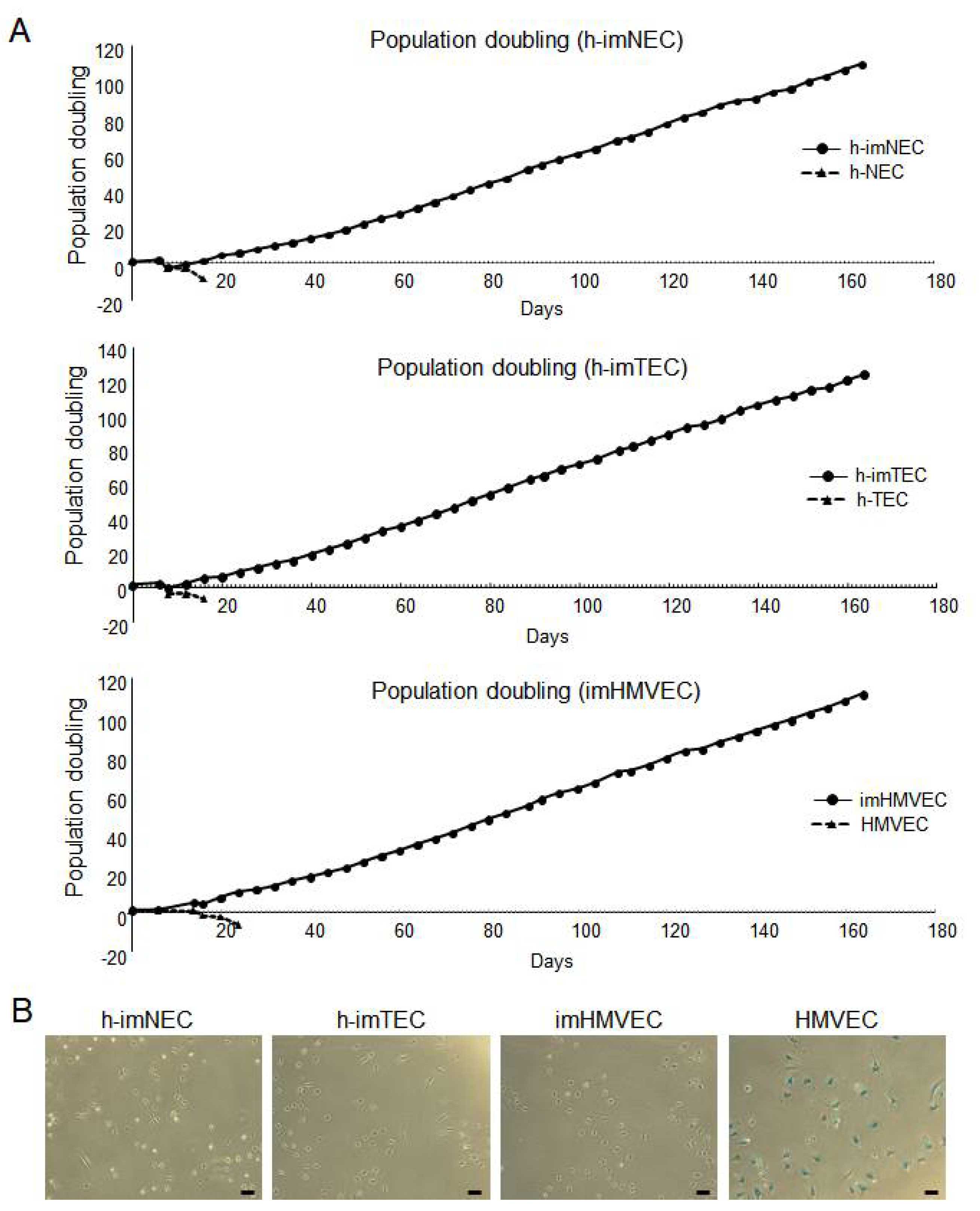 Ijms 20 04595 g002 Ijms 20 04595 g002