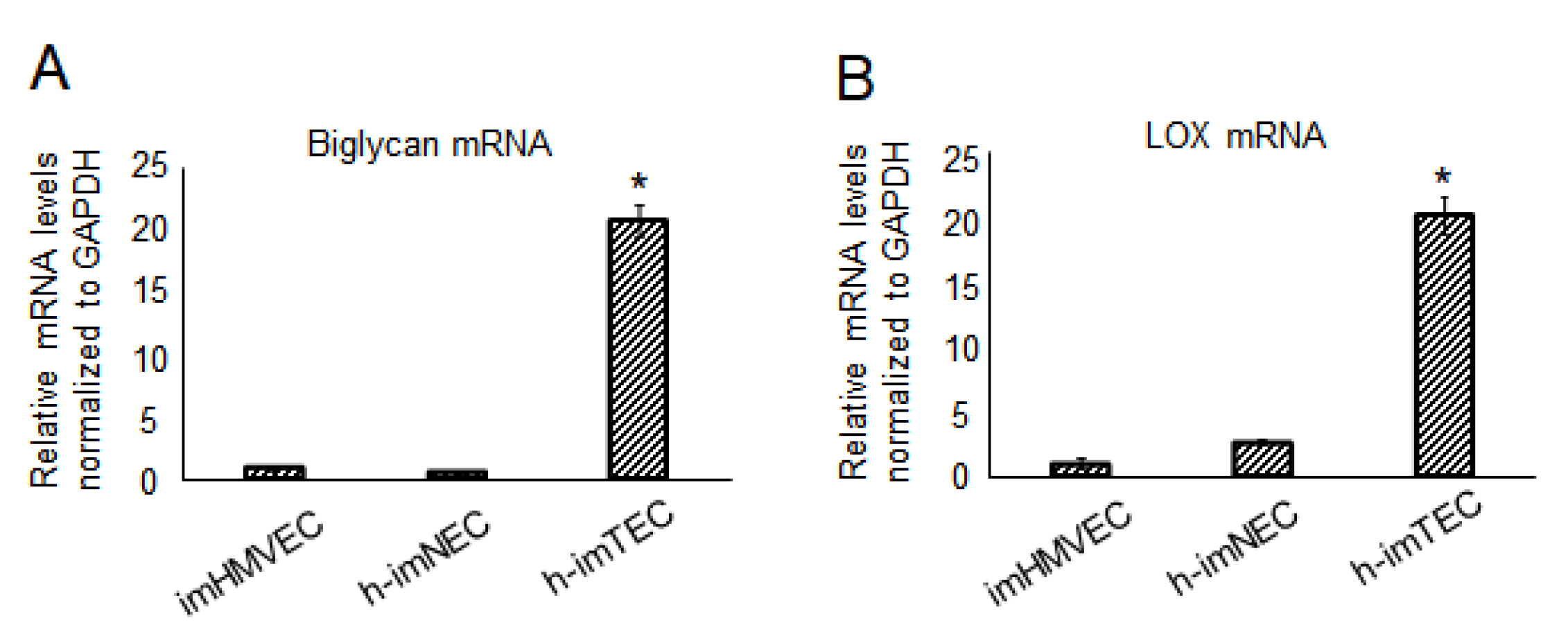Ijms 20 04595 g004 Ijms 20 04595 g004