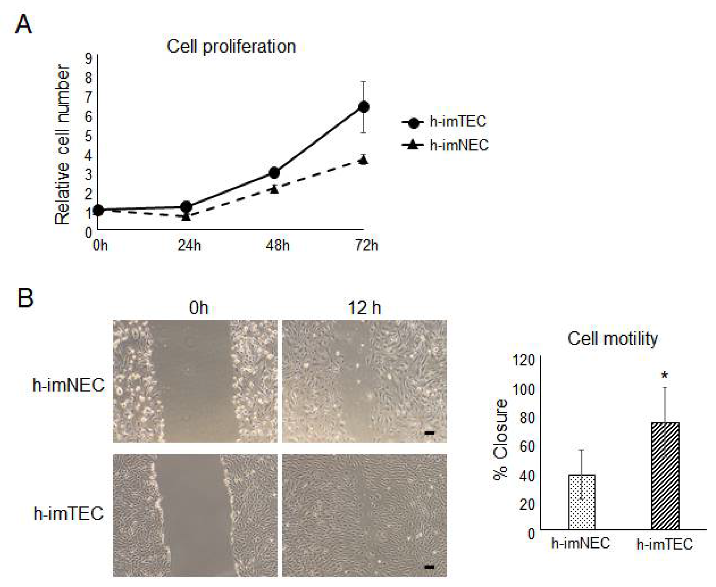 Ijms 20 04595 g005 Ijms 20 04595 g005