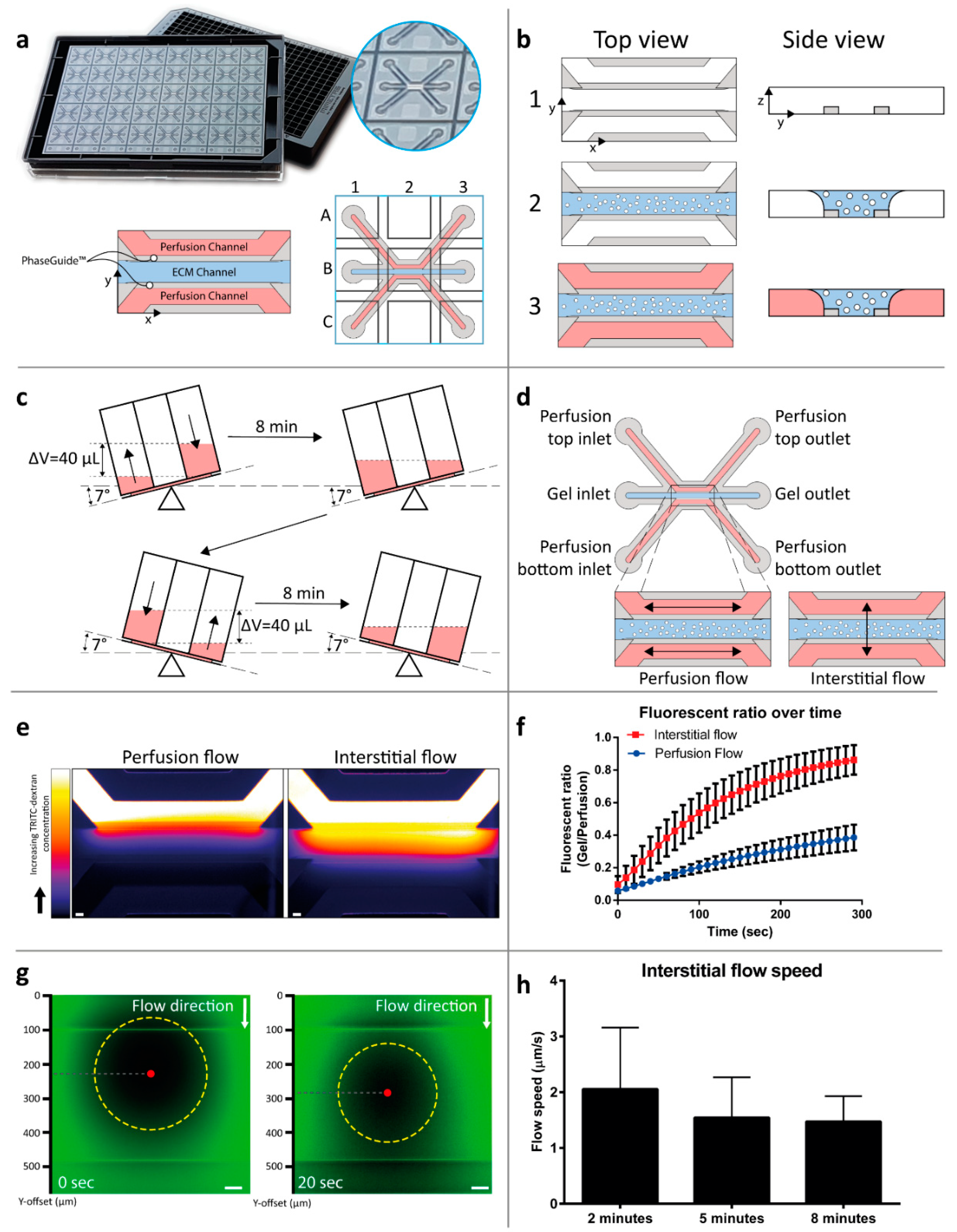 Ijms 20 04647 g001 Ijms 20 04647 g001
