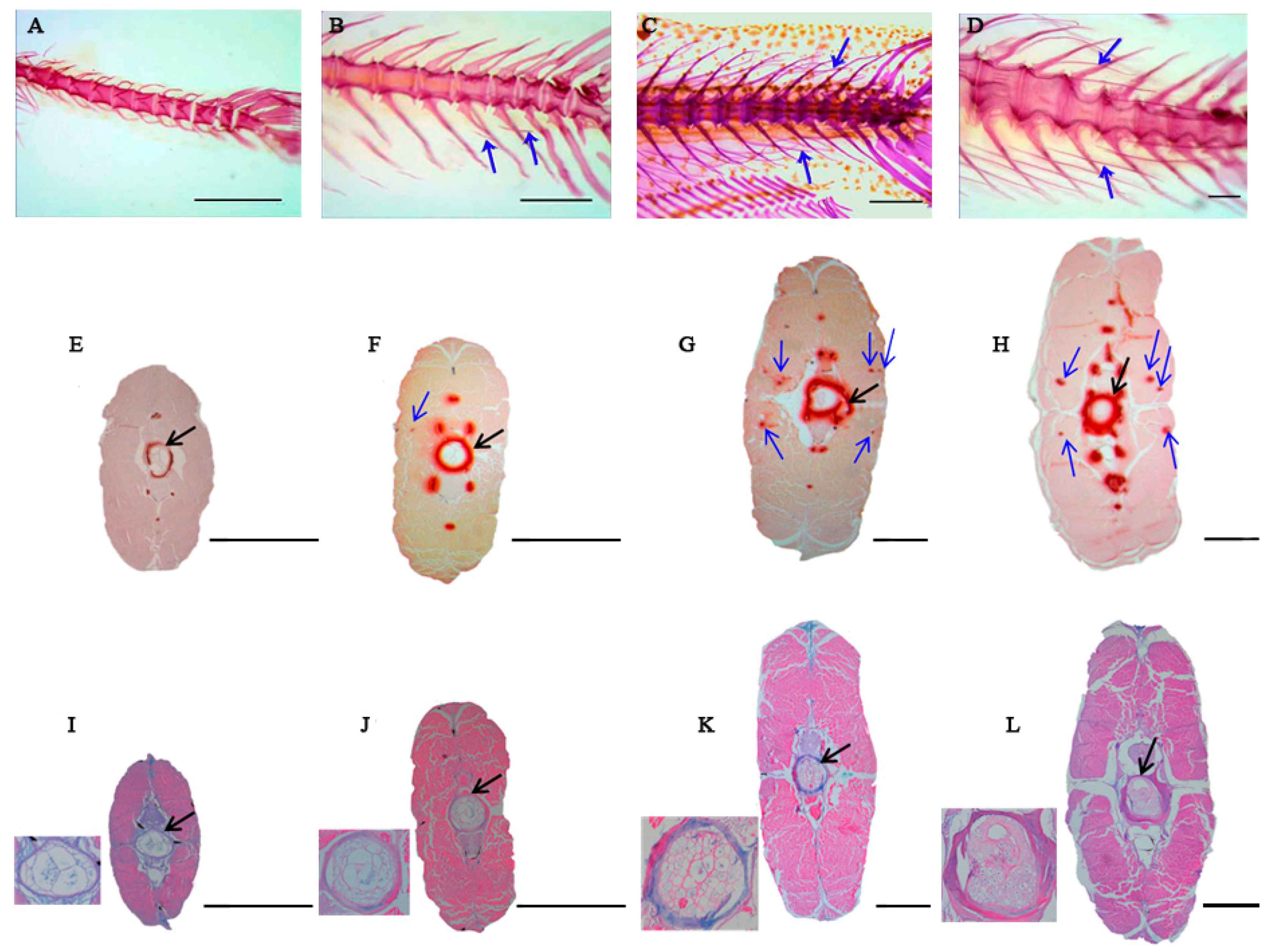 Ijms 20 04698 g001 Ijms 20 04698 g001