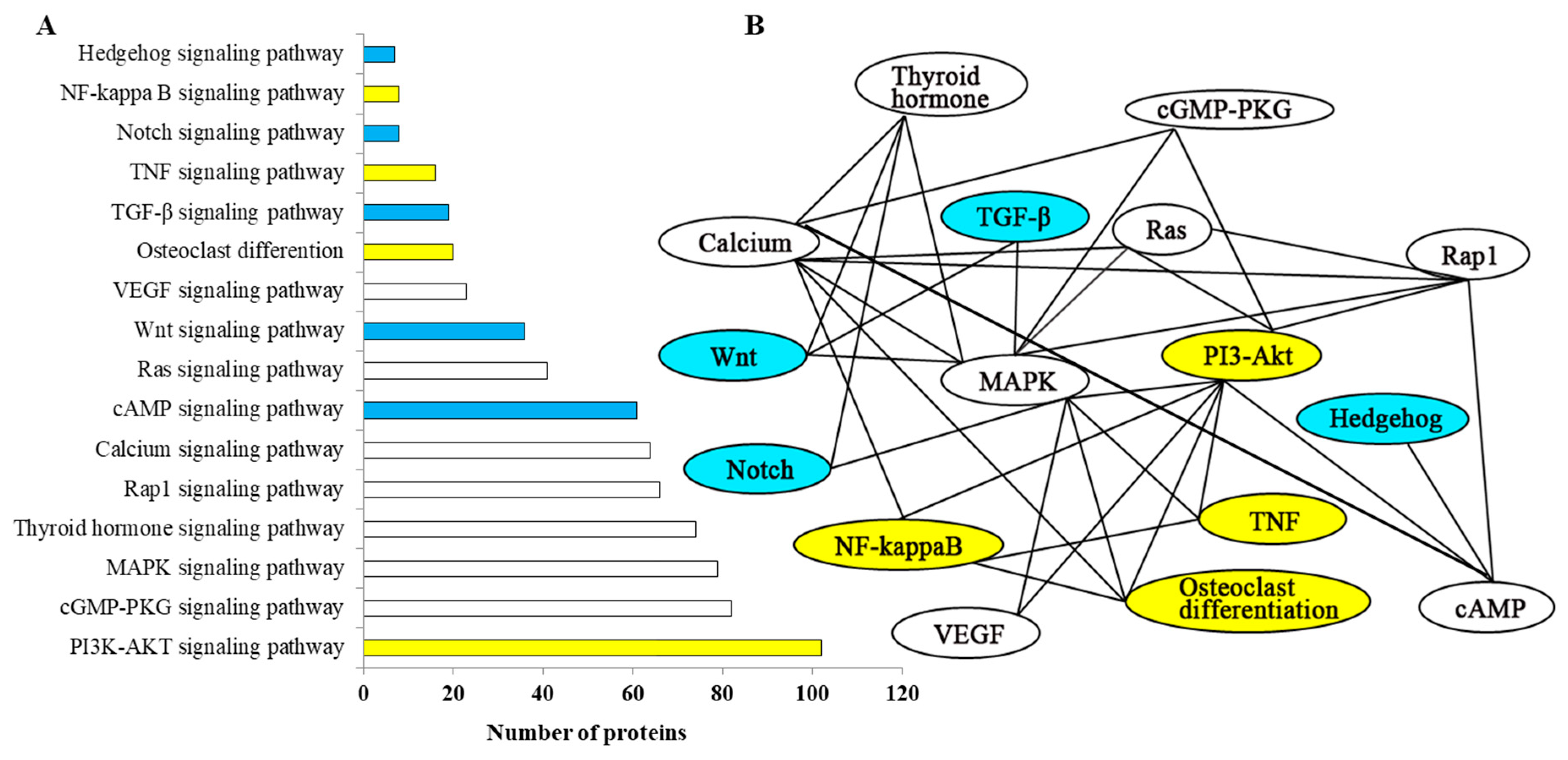 Ijms 20 04698 g002 Ijms 20 04698 g002