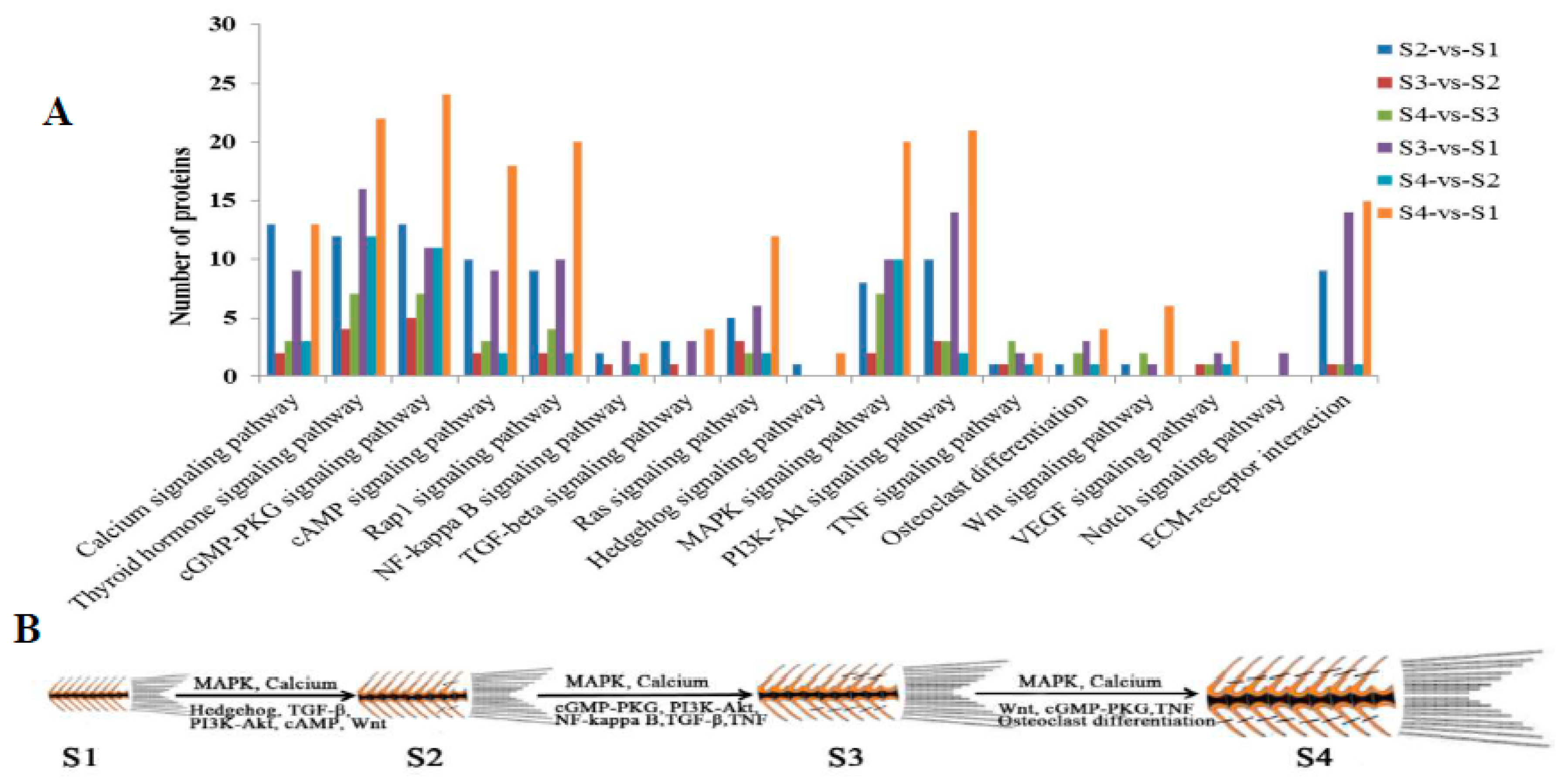 Ijms 20 04698 g004 Ijms 20 04698 g004
