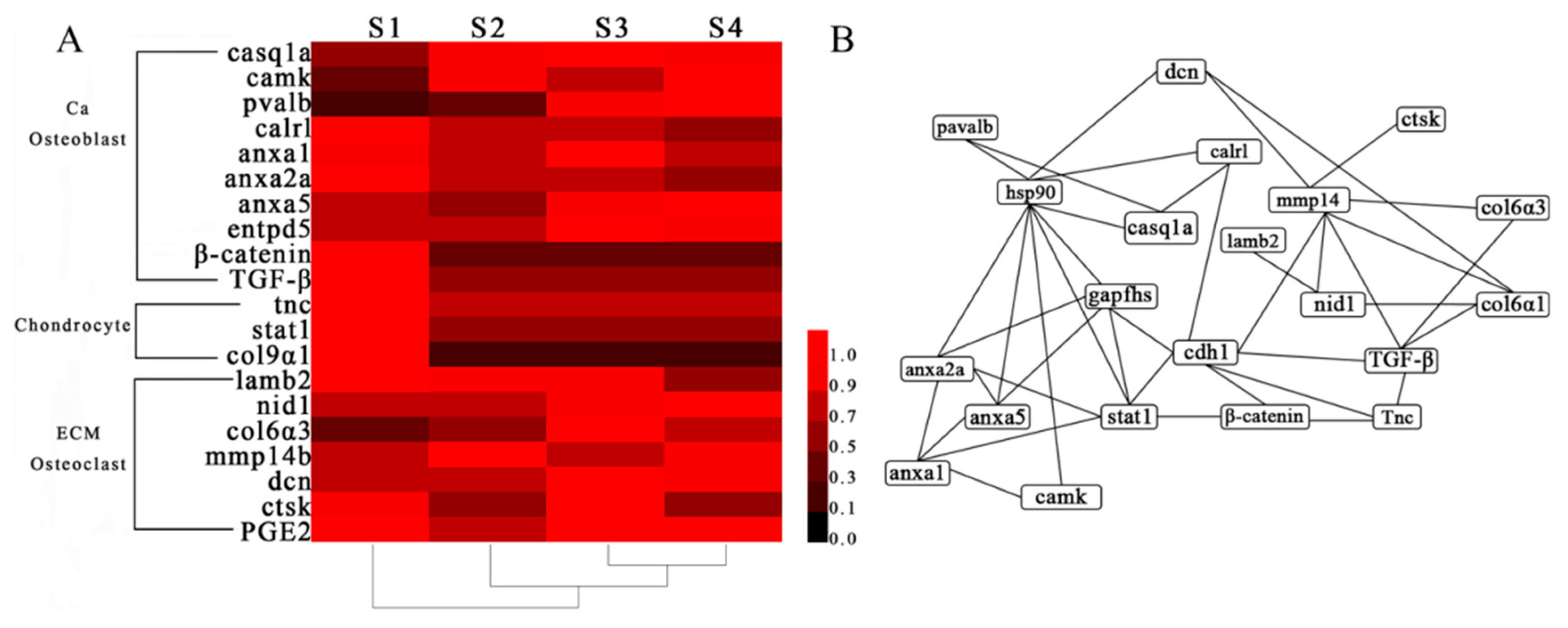 Ijms 20 04698 g005 Ijms 20 04698 g005