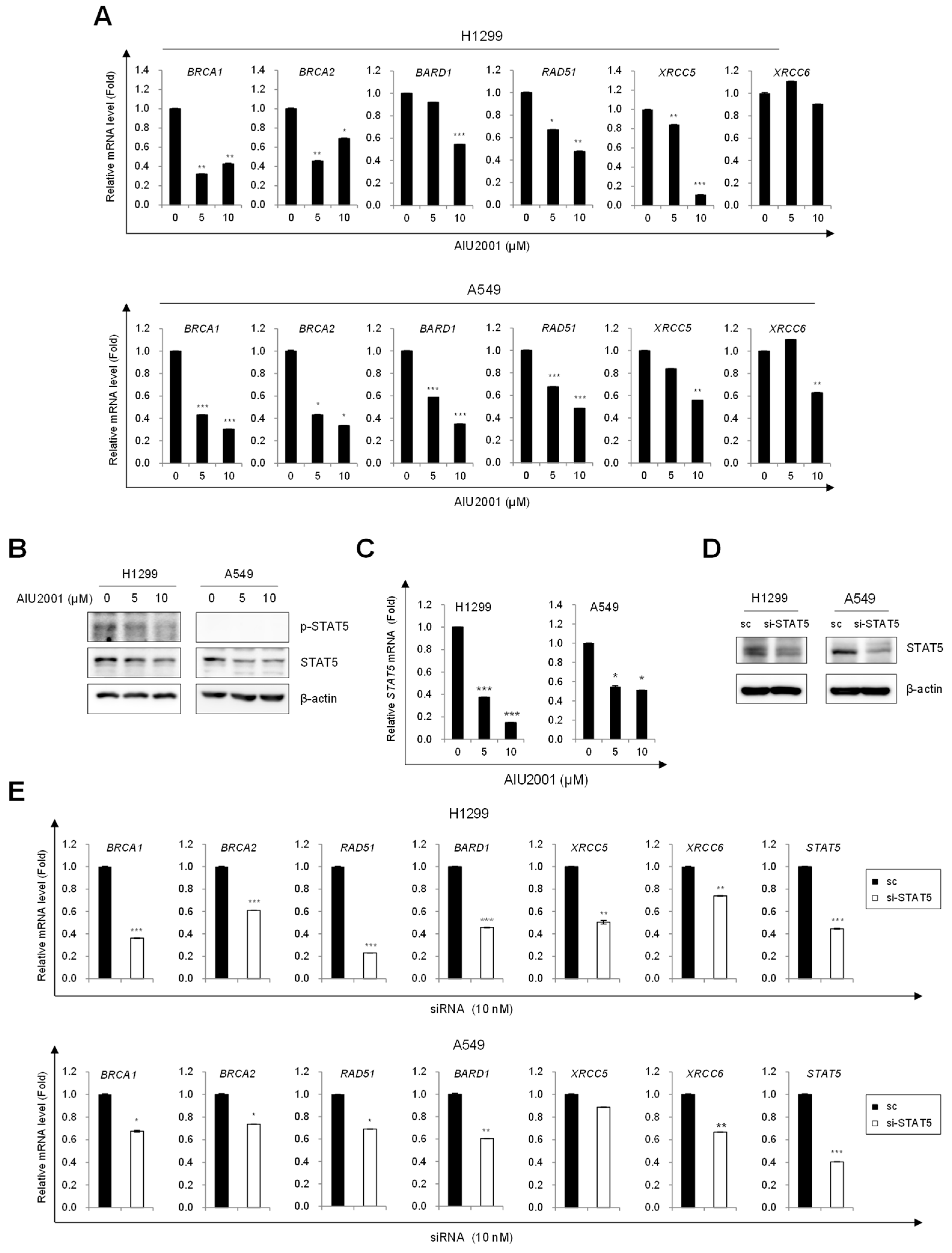 Ijms 20 04728 g005 Ijms 20 04728 g005