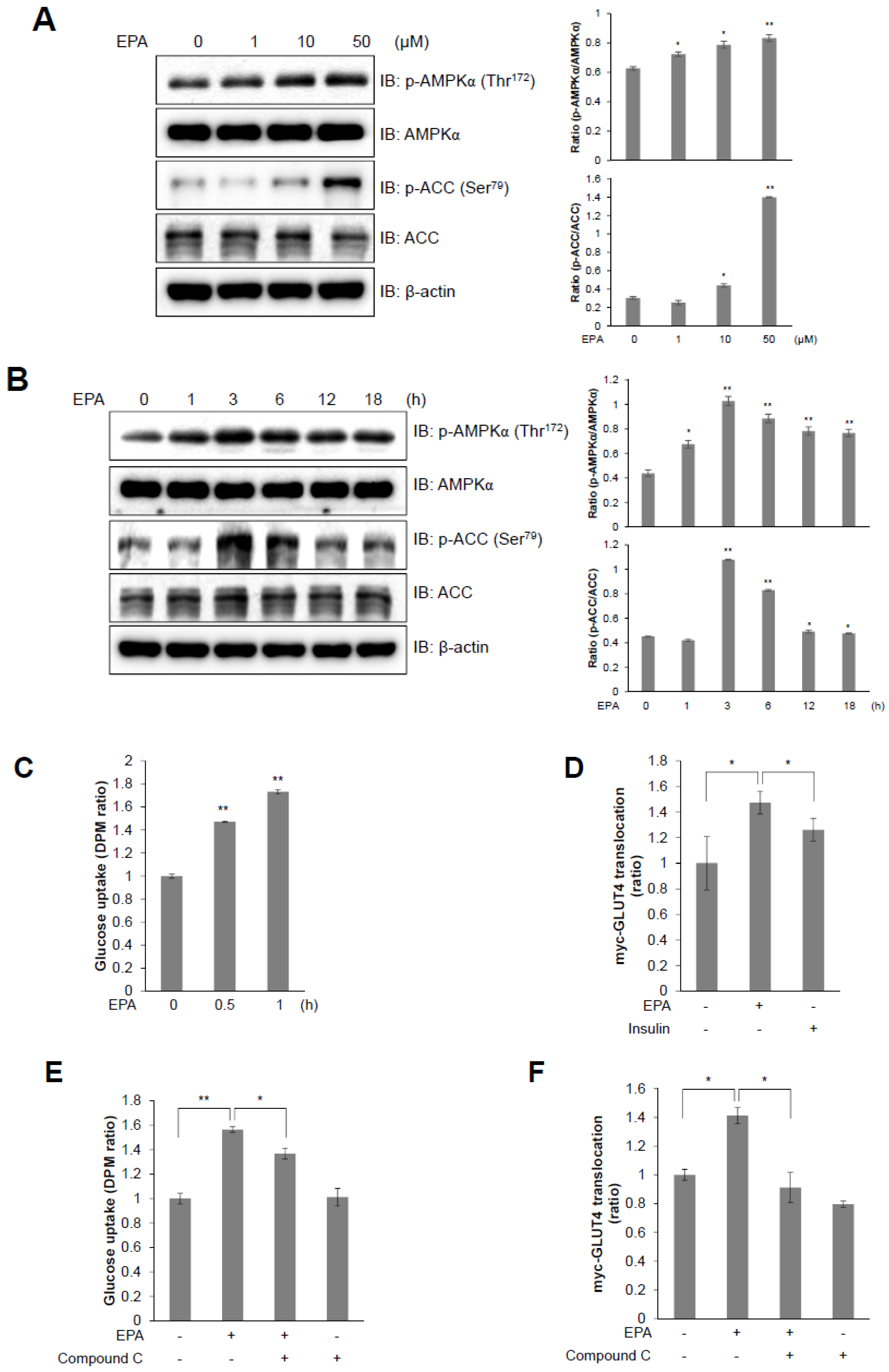 Ijms 20 04751 g002a