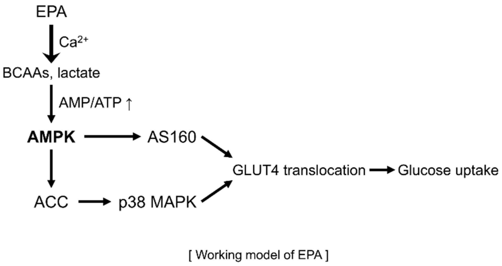 Ijms 20 04751 g007