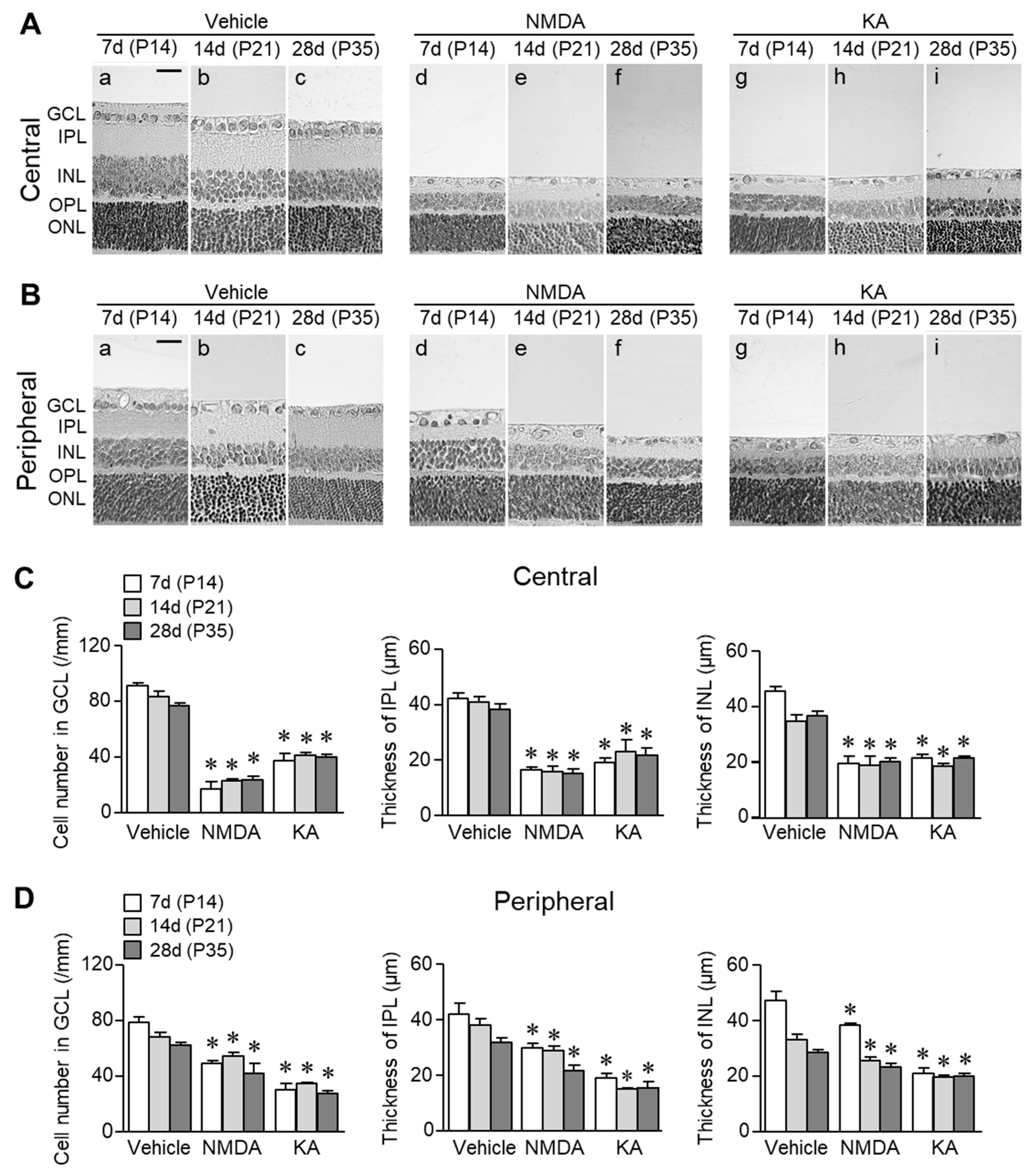 Ijms 20 04759 g001 Ijms 20 04759 g001