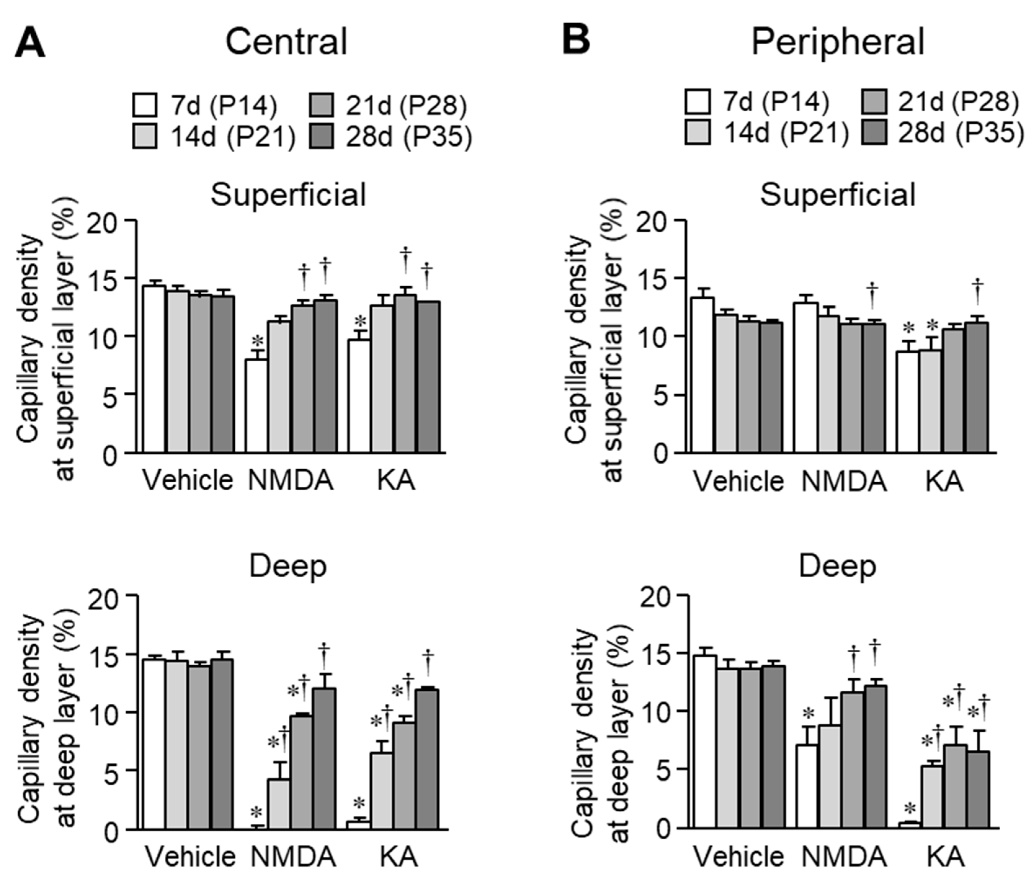 Ijms 20 04759 g004 Ijms 20 04759 g004