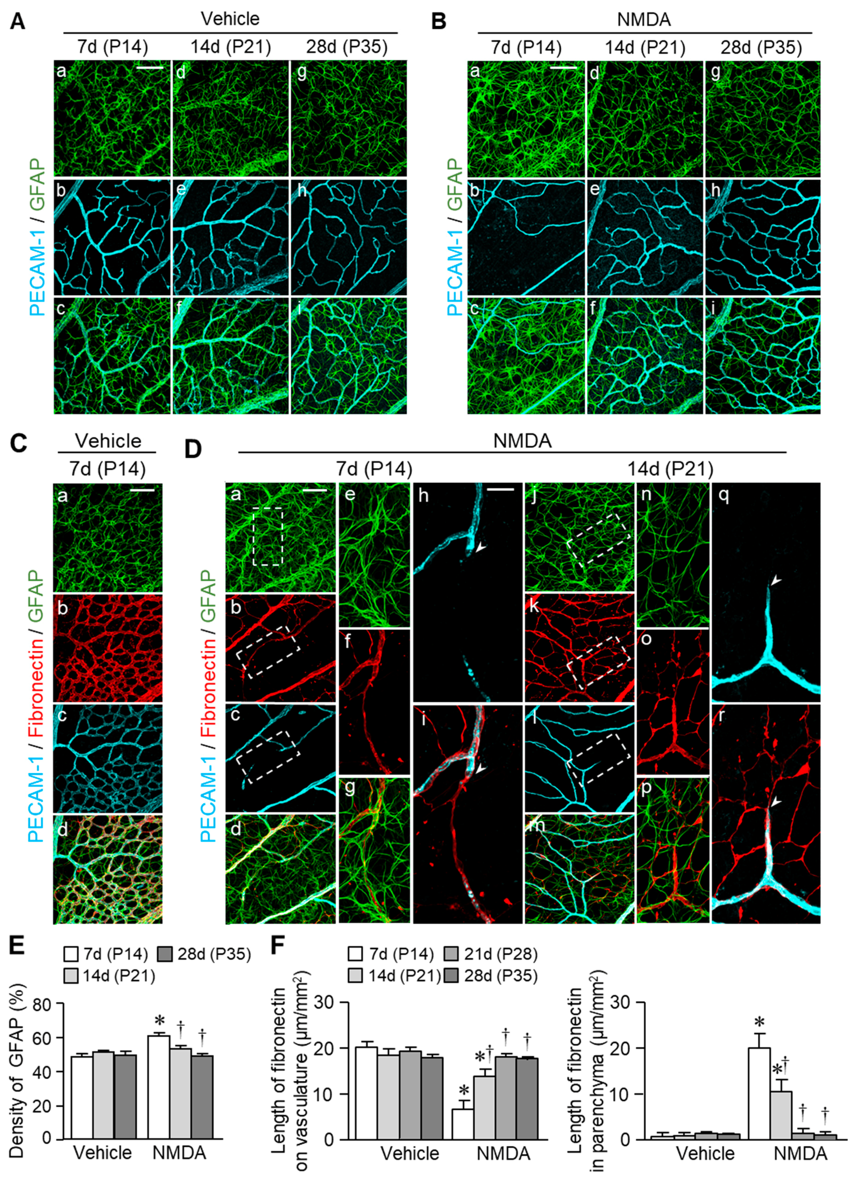 Ijms 20 04759 g005 Ijms 20 04759 g005