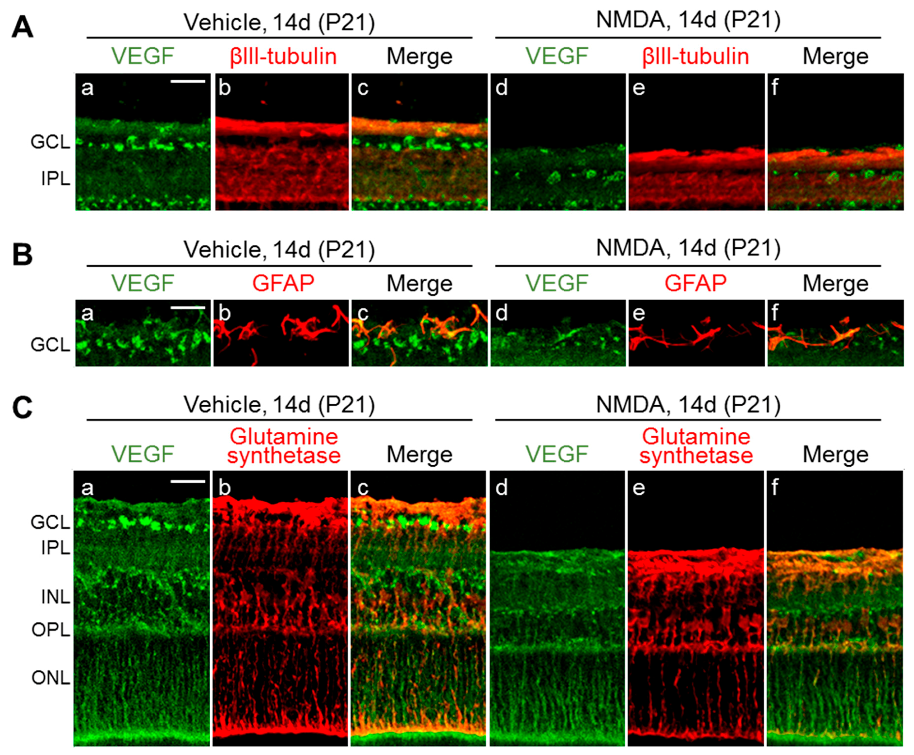 Ijms 20 04759 g007 Ijms 20 04759 g007
