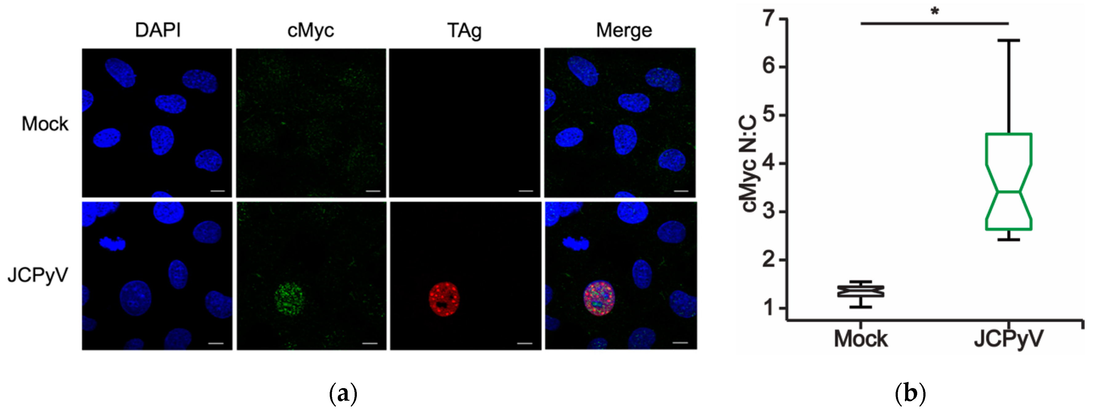 Ijms 20 04779 g004a