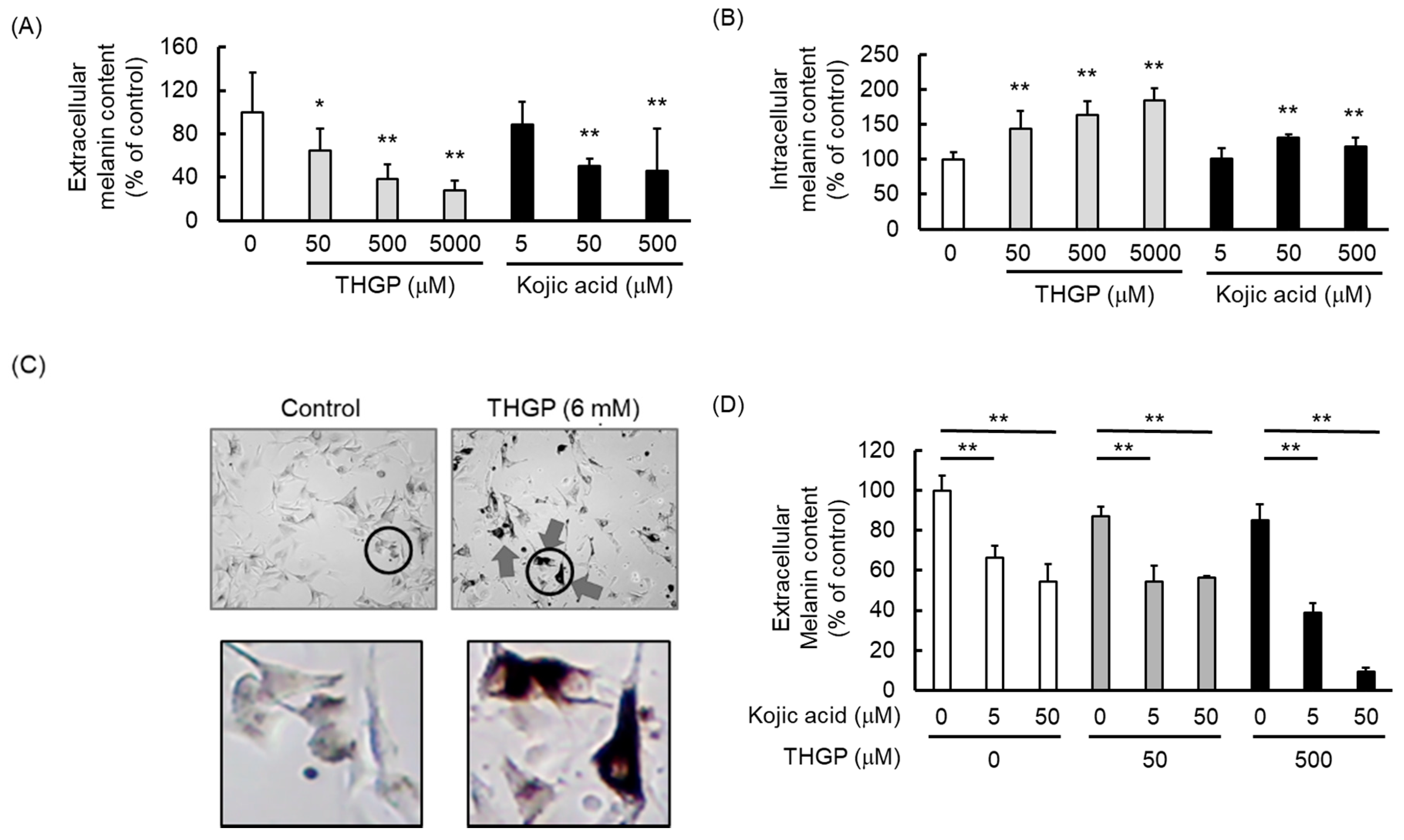 Ijms 20 04785 g004 Ijms 20 04785 g004