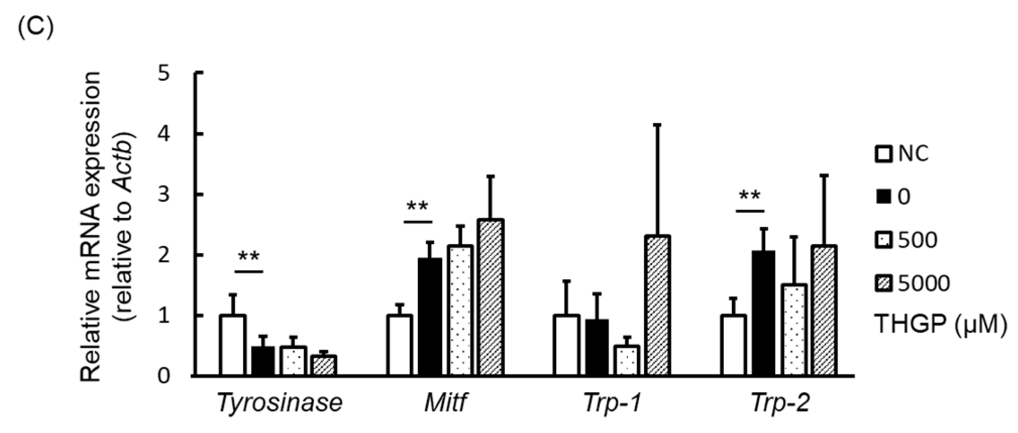 Ijms 20 04785 g005b Ijms 20 04785 g005b