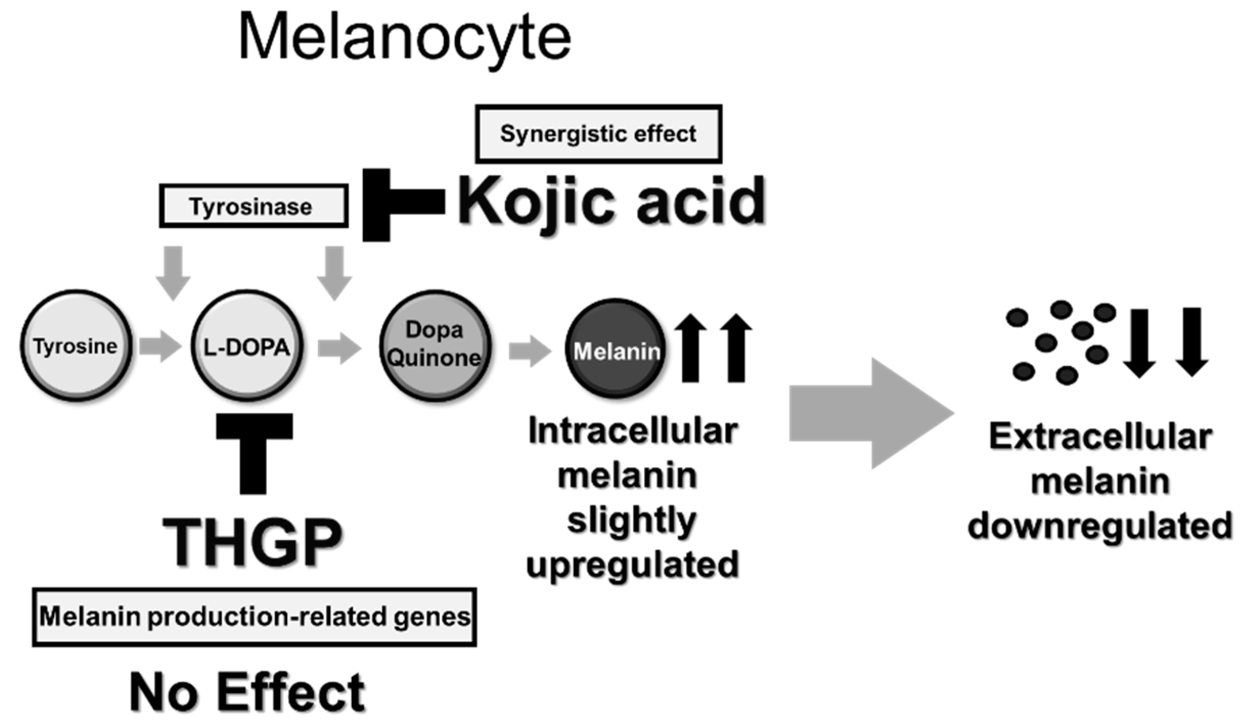 Ijms 20 04785 g007 Ijms 20 04785 g007