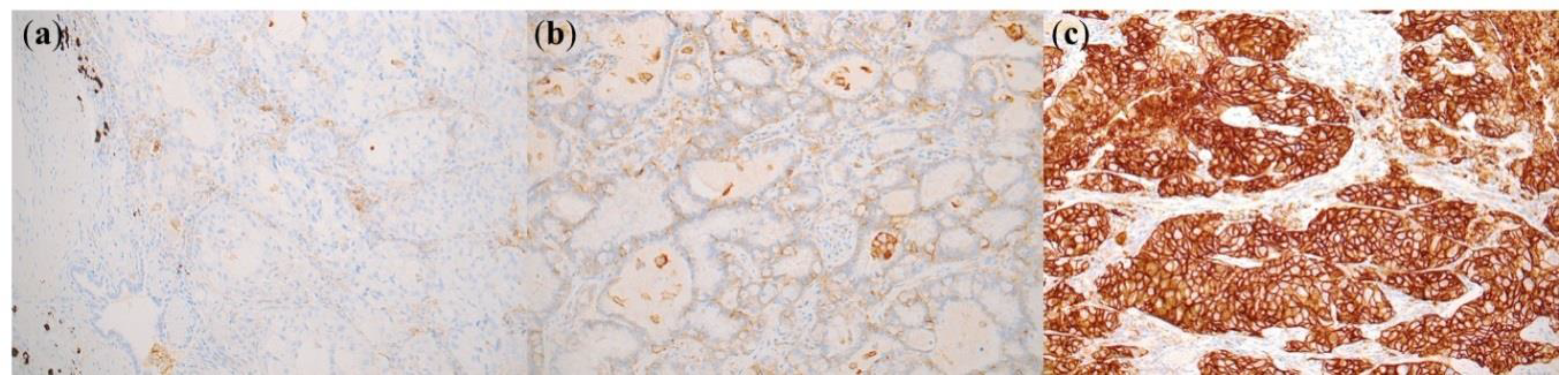 Ijms 20 04794 g001