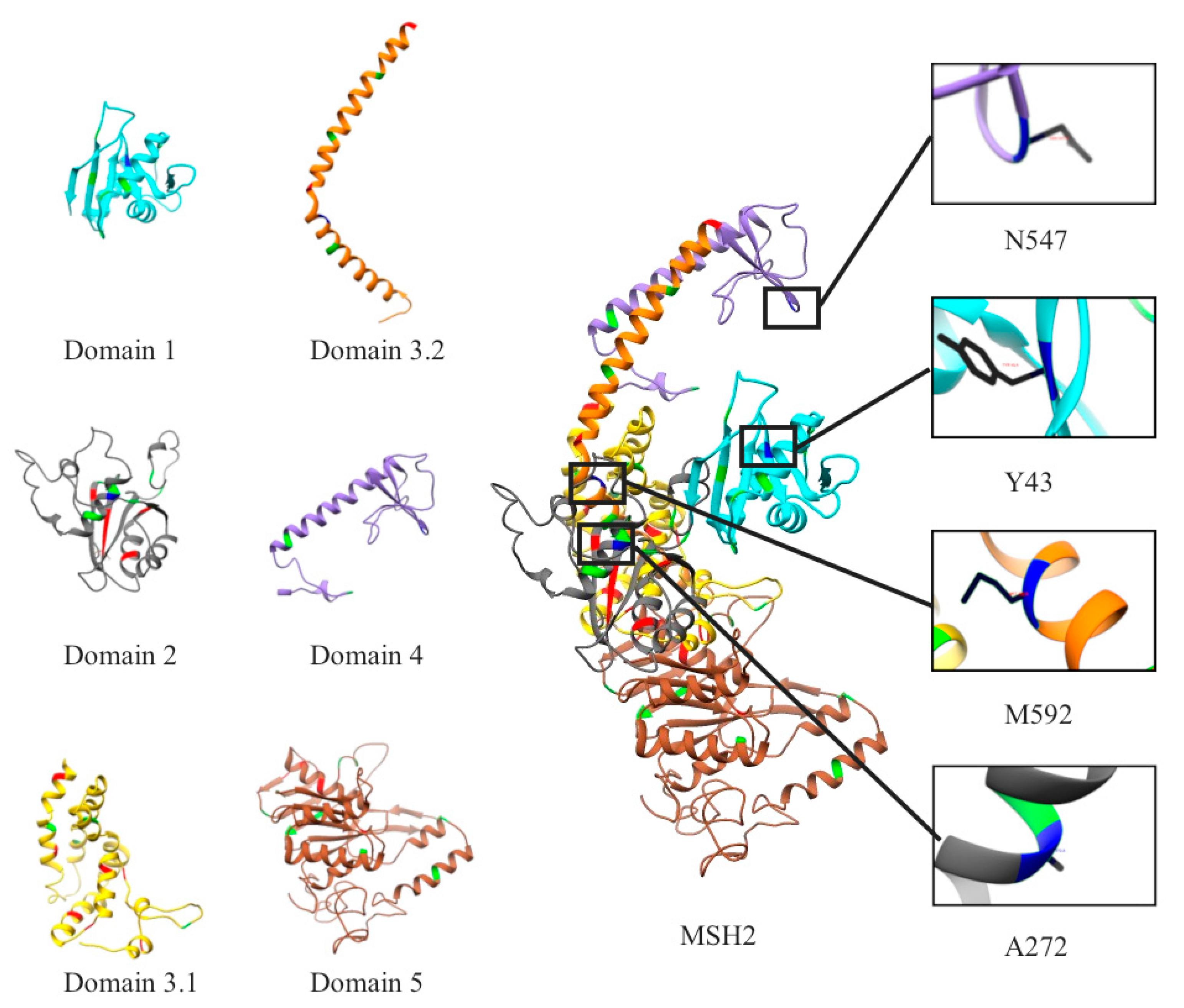 Ijms 20 04828 g001 Ijms 20 04828 g001