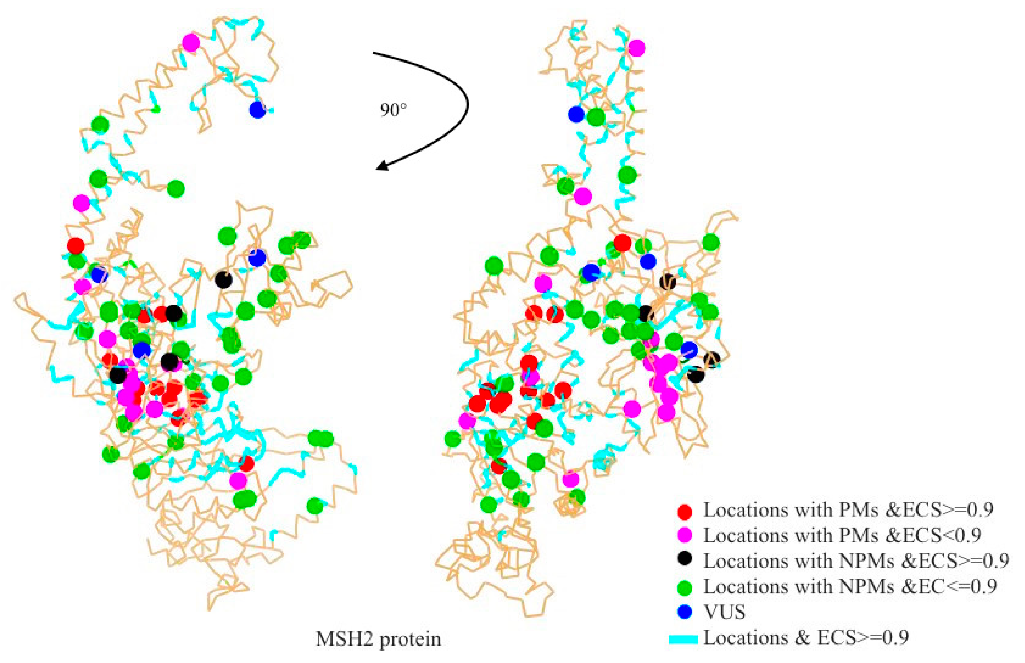 Ijms 20 04828 g002 Ijms 20 04828 g002