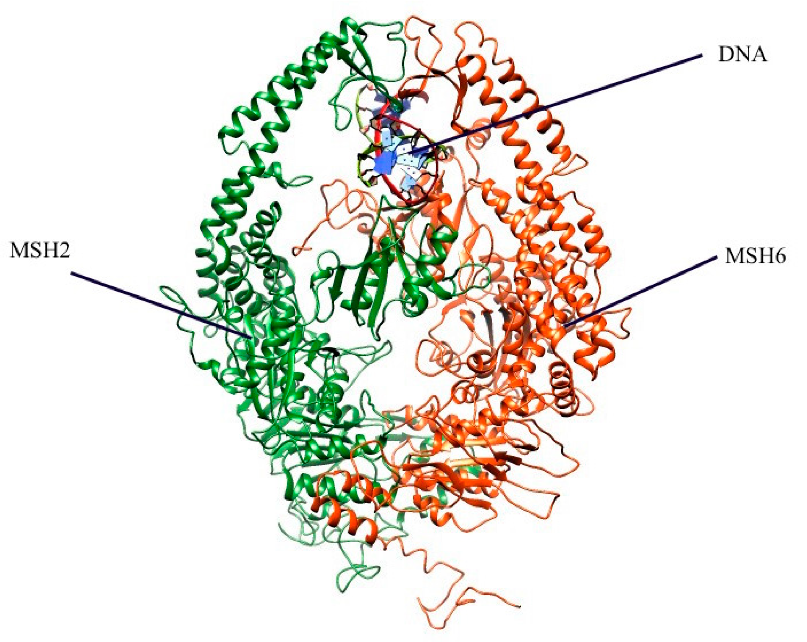 Ijms 20 04828 g005 Ijms 20 04828 g005