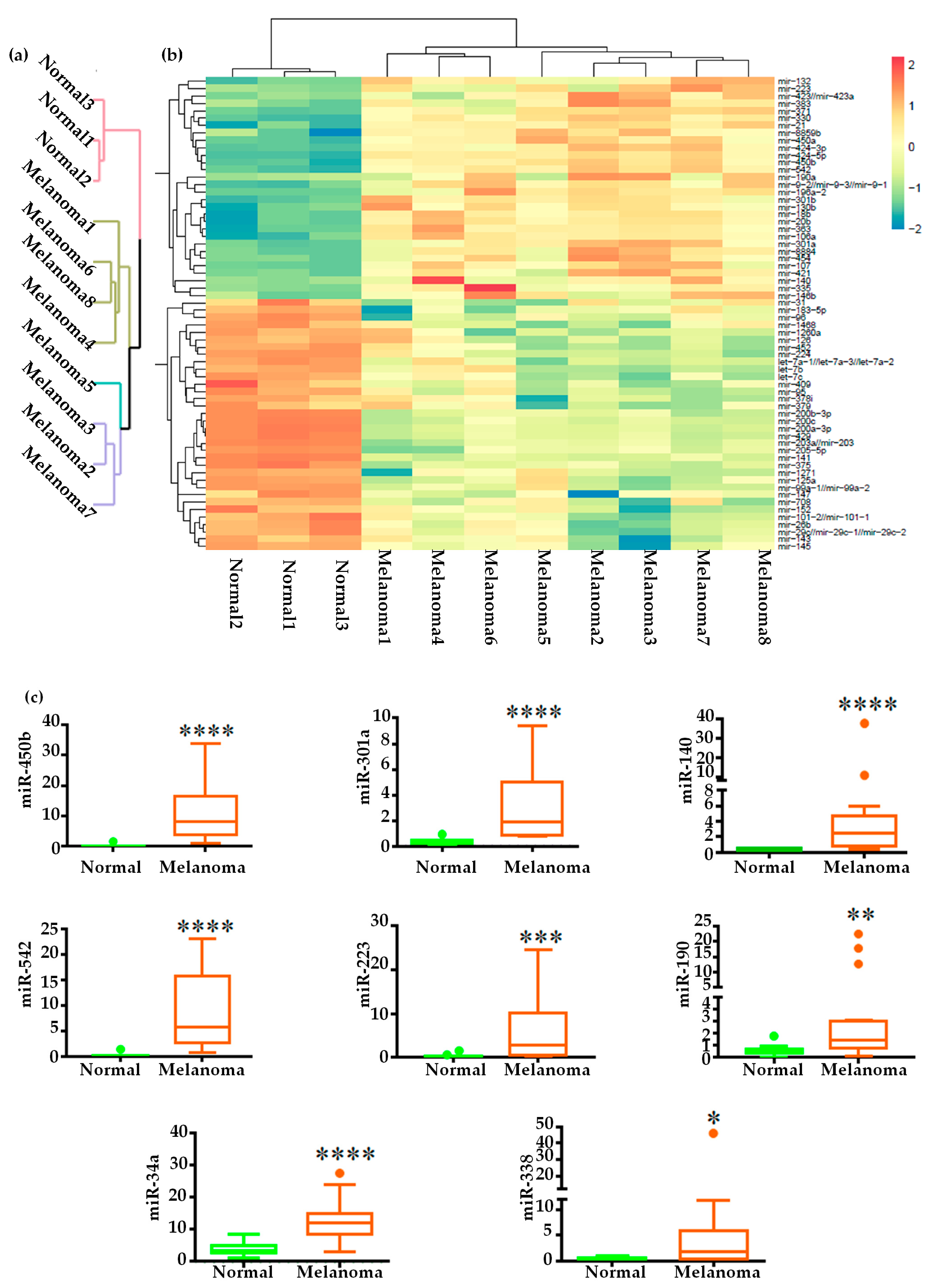 Ijms 20 04832 g002a Ijms 20 04832 g002a