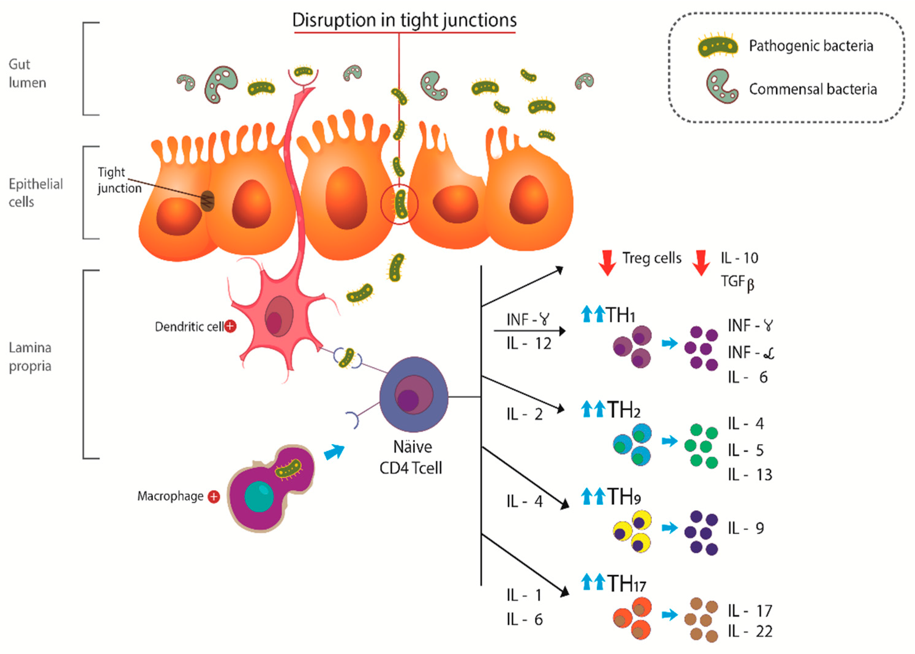 Ijms 20 04851 g001 Ijms 20 04851 g001