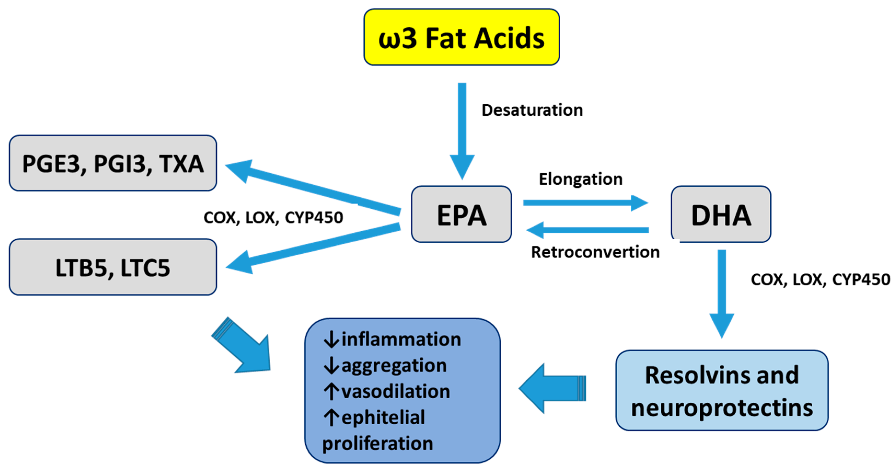 Ijms 20 04851 g003 Ijms 20 04851 g003